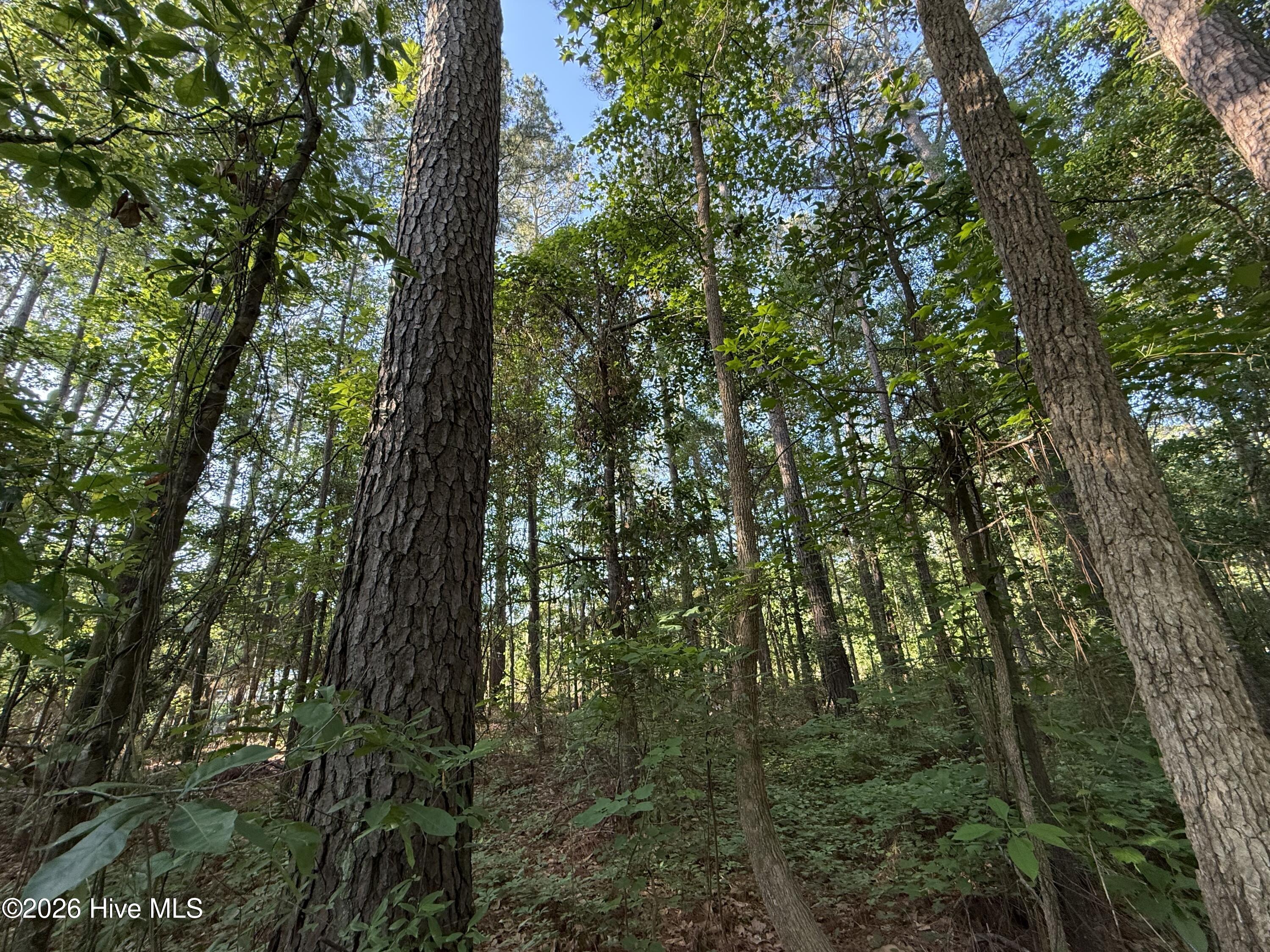 470 Acres Lane Nw Property Photo 12