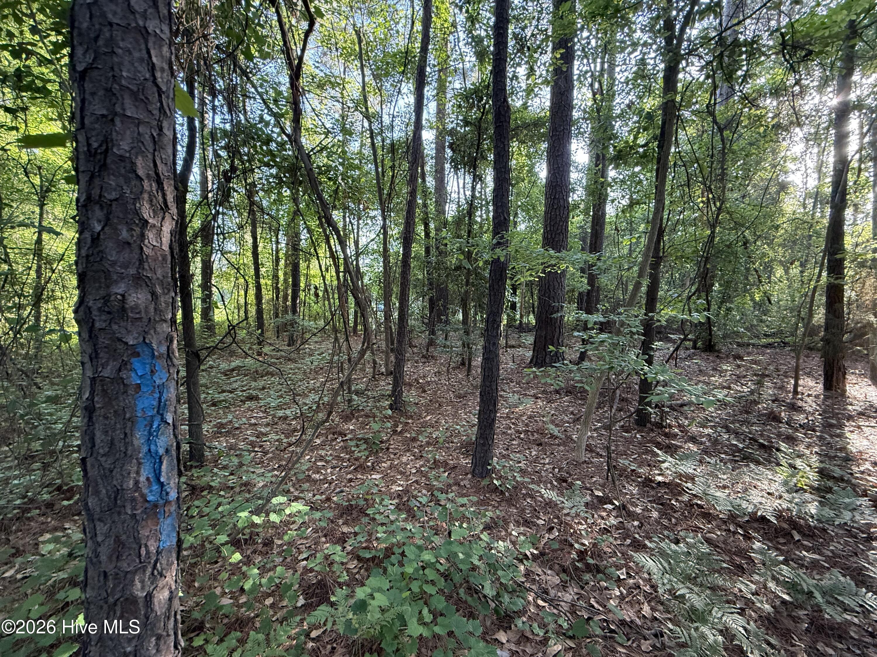 470 Acres Lane Nw Property Photo 13