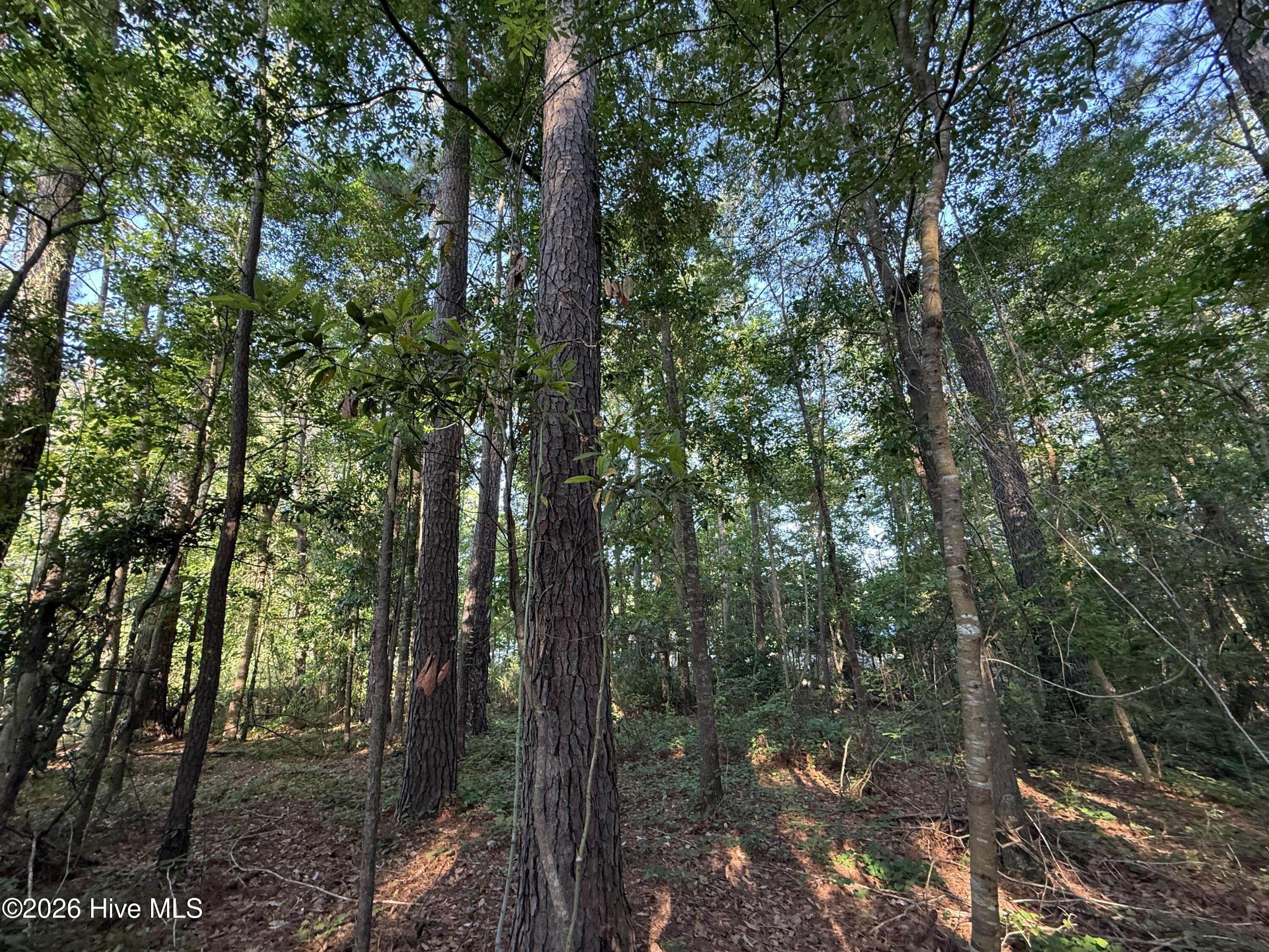 470 Acres Lane Nw Property Photo 16