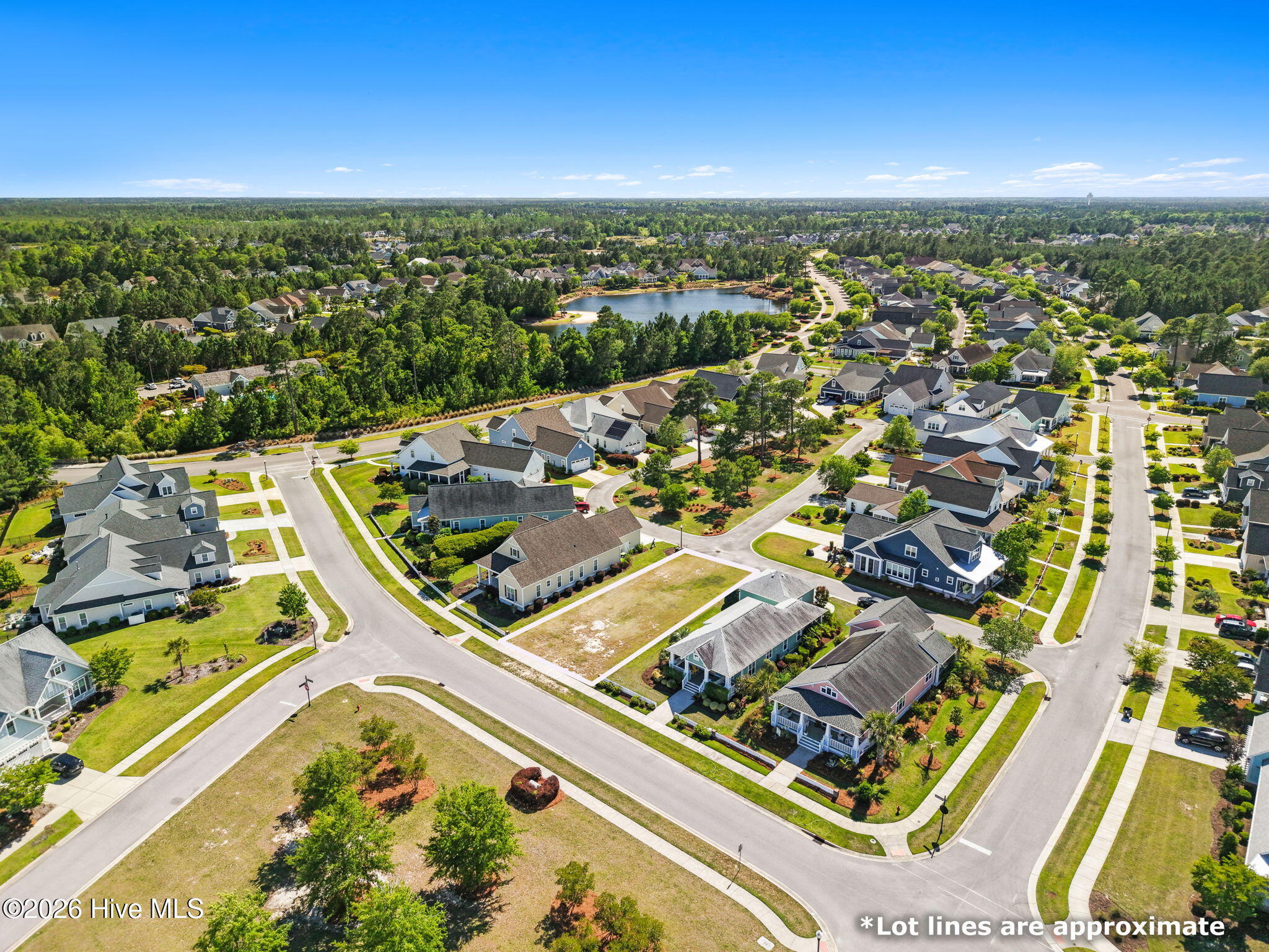 1315 Star Grass Way Property Photo 9