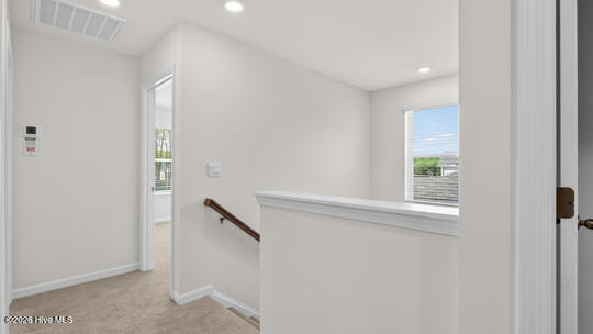 511 Chestnut Oak Drive Property Photo 17