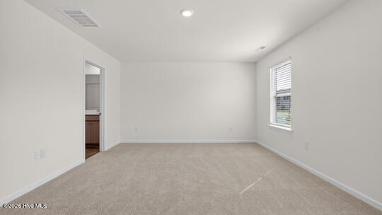 511 Chestnut Oak Drive Property Photo 19