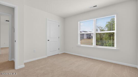 511 Chestnut Oak Drive Property Photo 21