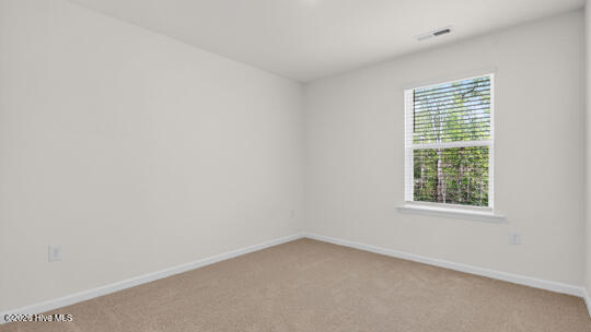 511 Chestnut Oak Drive Property Photo 22
