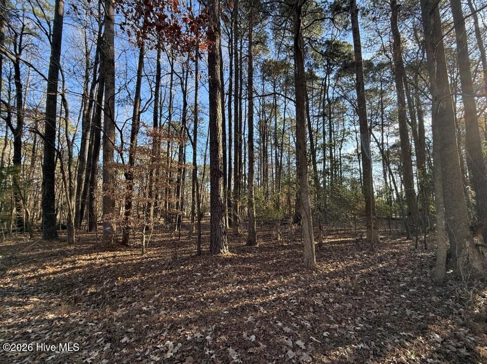 17-c 17c Comanche Trail Property Photo 3