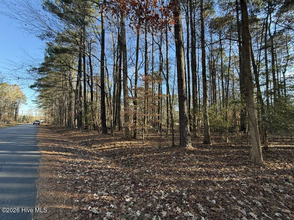17-c 17c Comanche Trail Property Photo 4