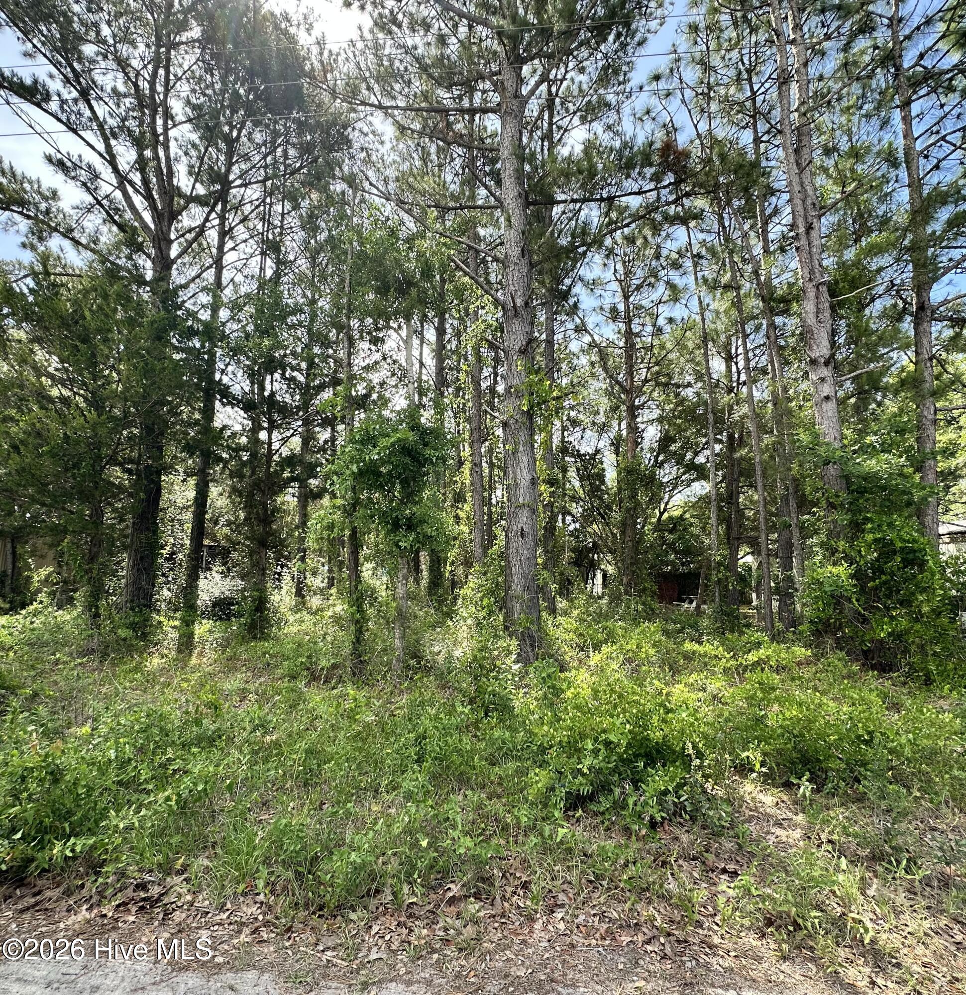 2983 5 Canna Place Sw Property Photo 1