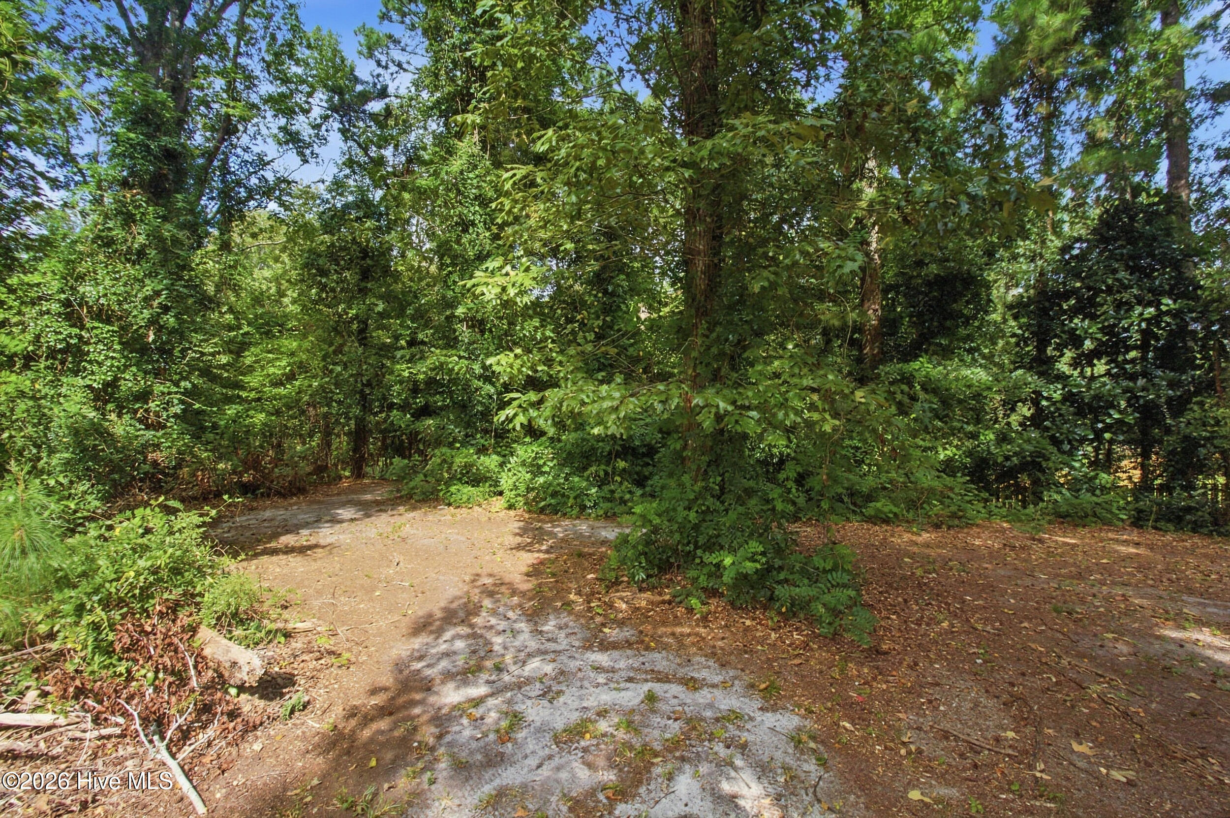 112 Barkside Lane Property Photo 44
