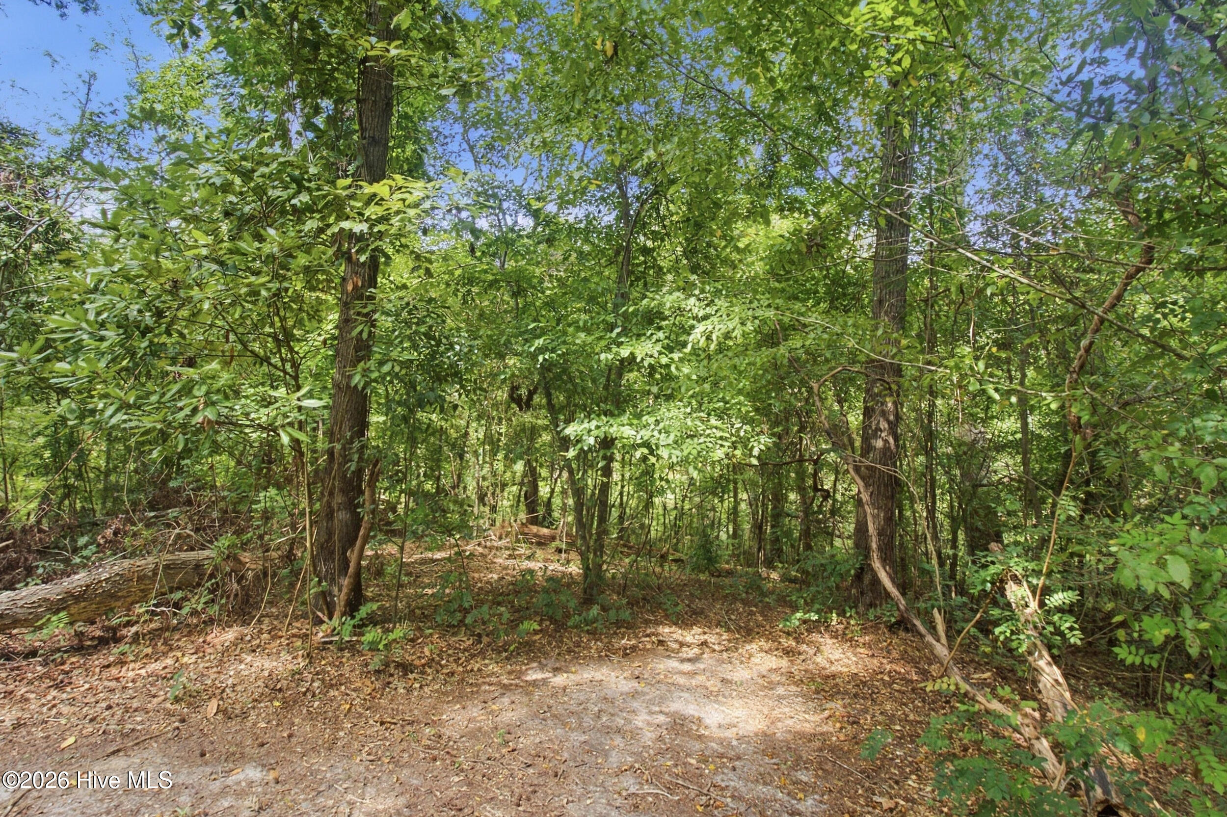 112 Barkside Lane Property Photo 45