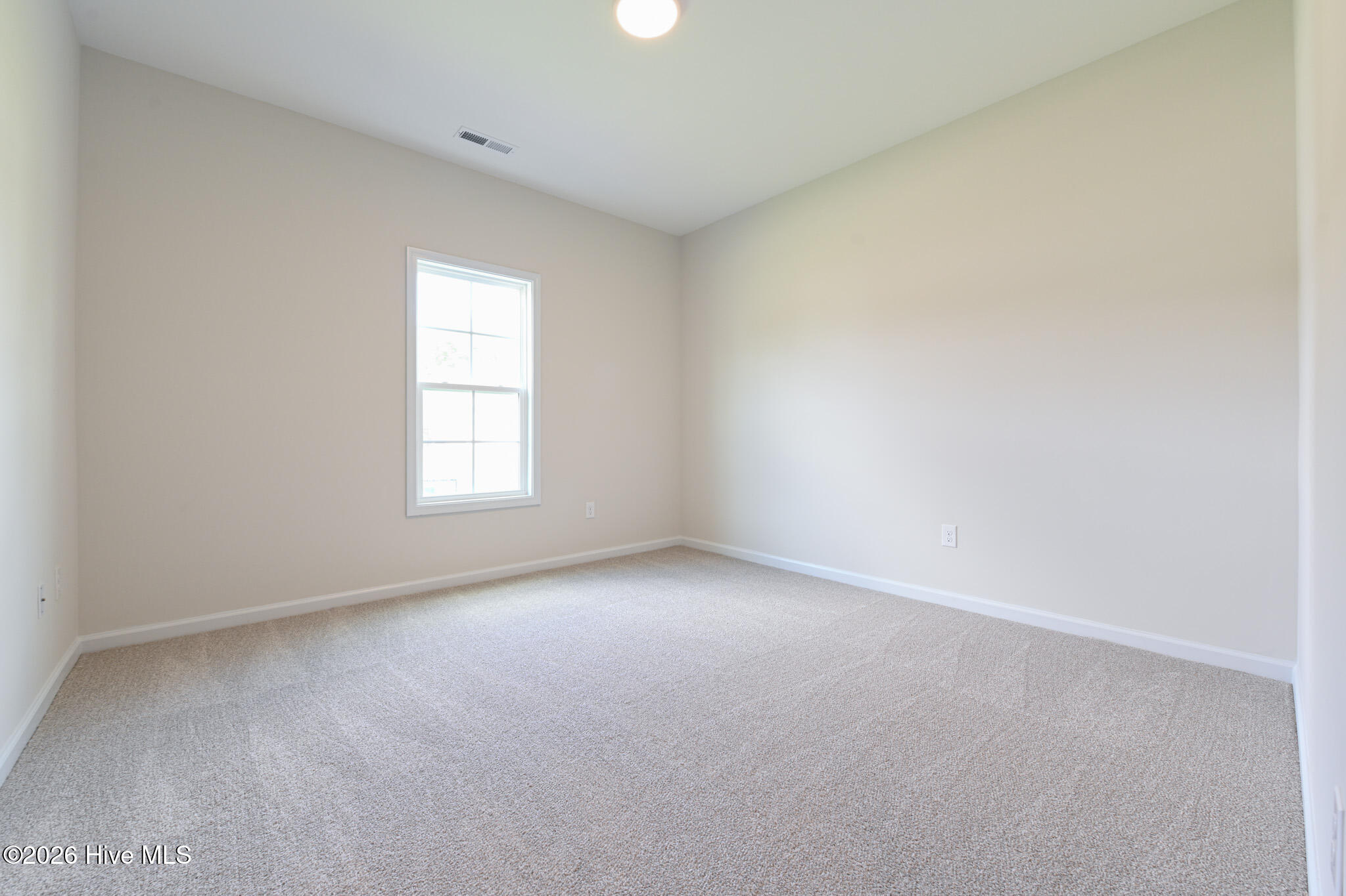 218 Hill Valley Drive (lot 87) Property Photo 22