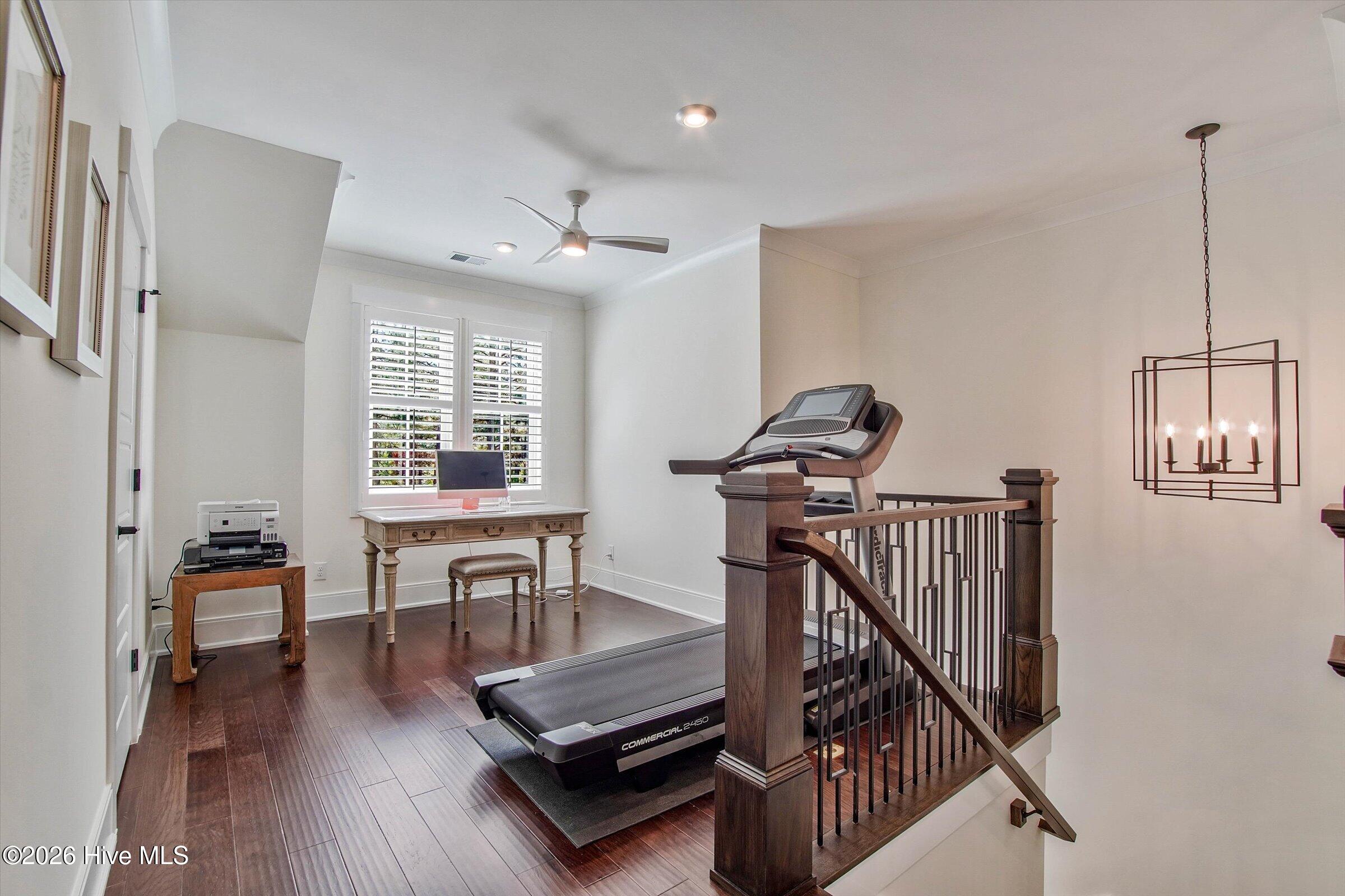 3 Ridgeland Street Property Photo 46
