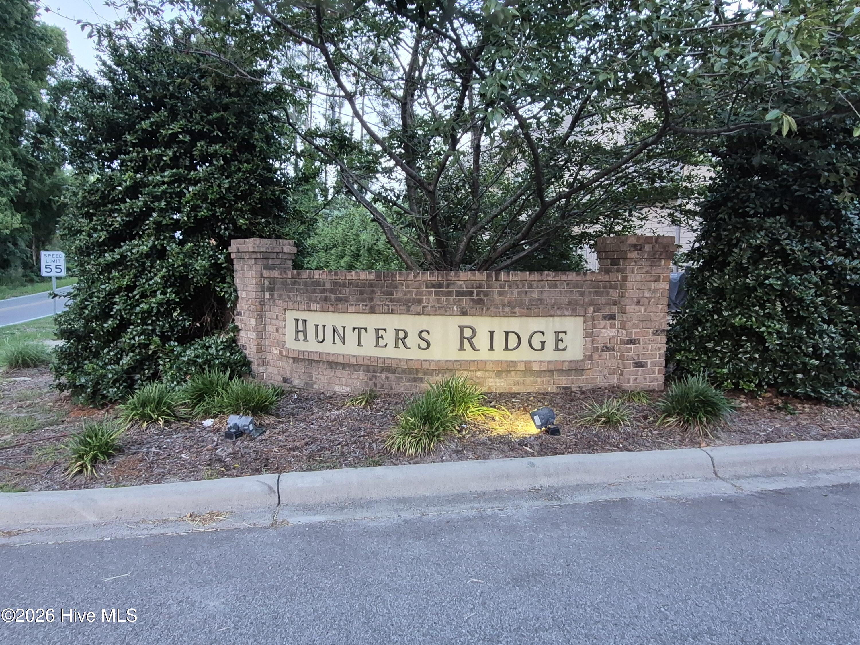 195 Pinebranch Court Property Photo 26