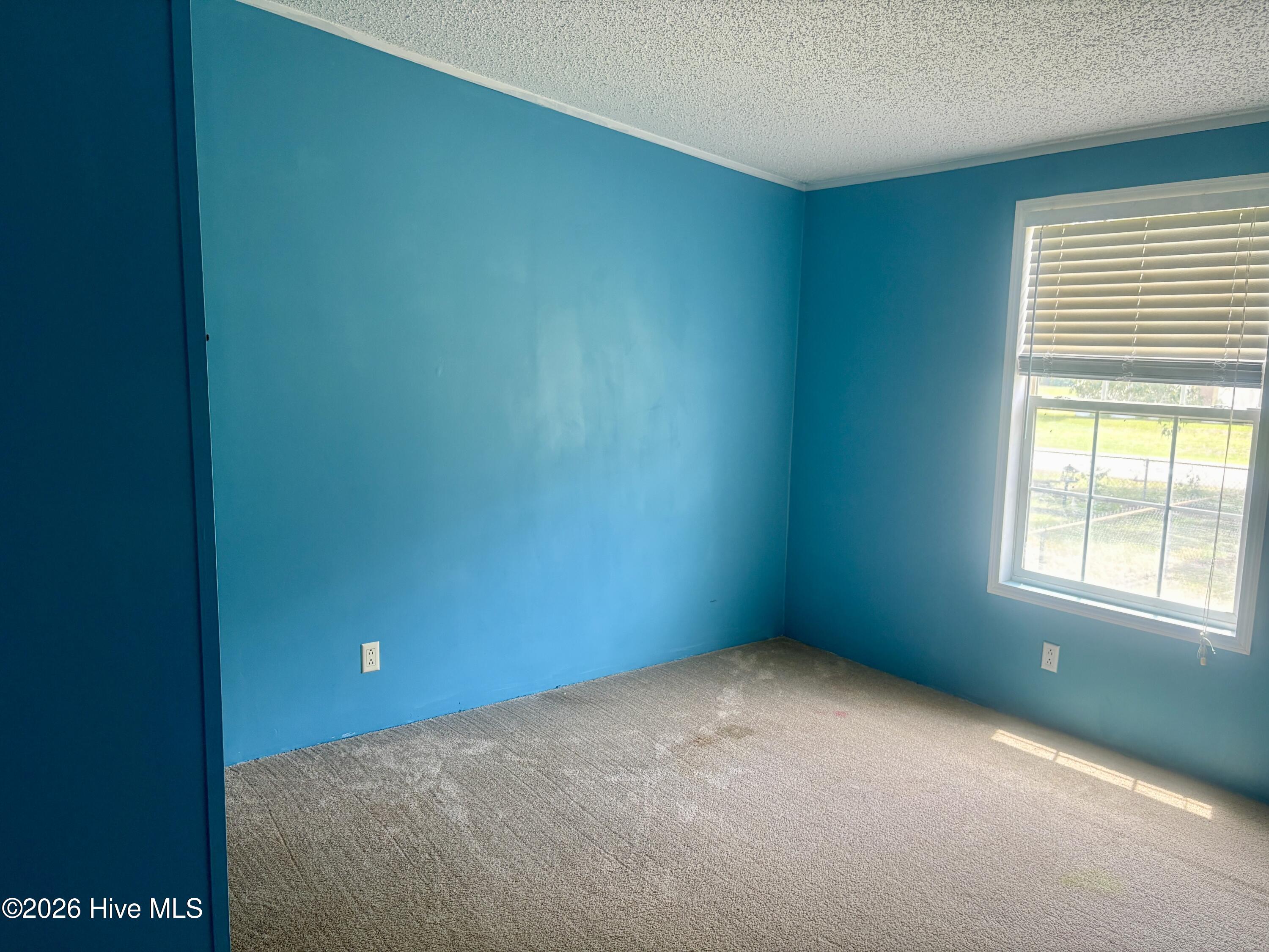 114 Powhatan Trail Property Photo 5