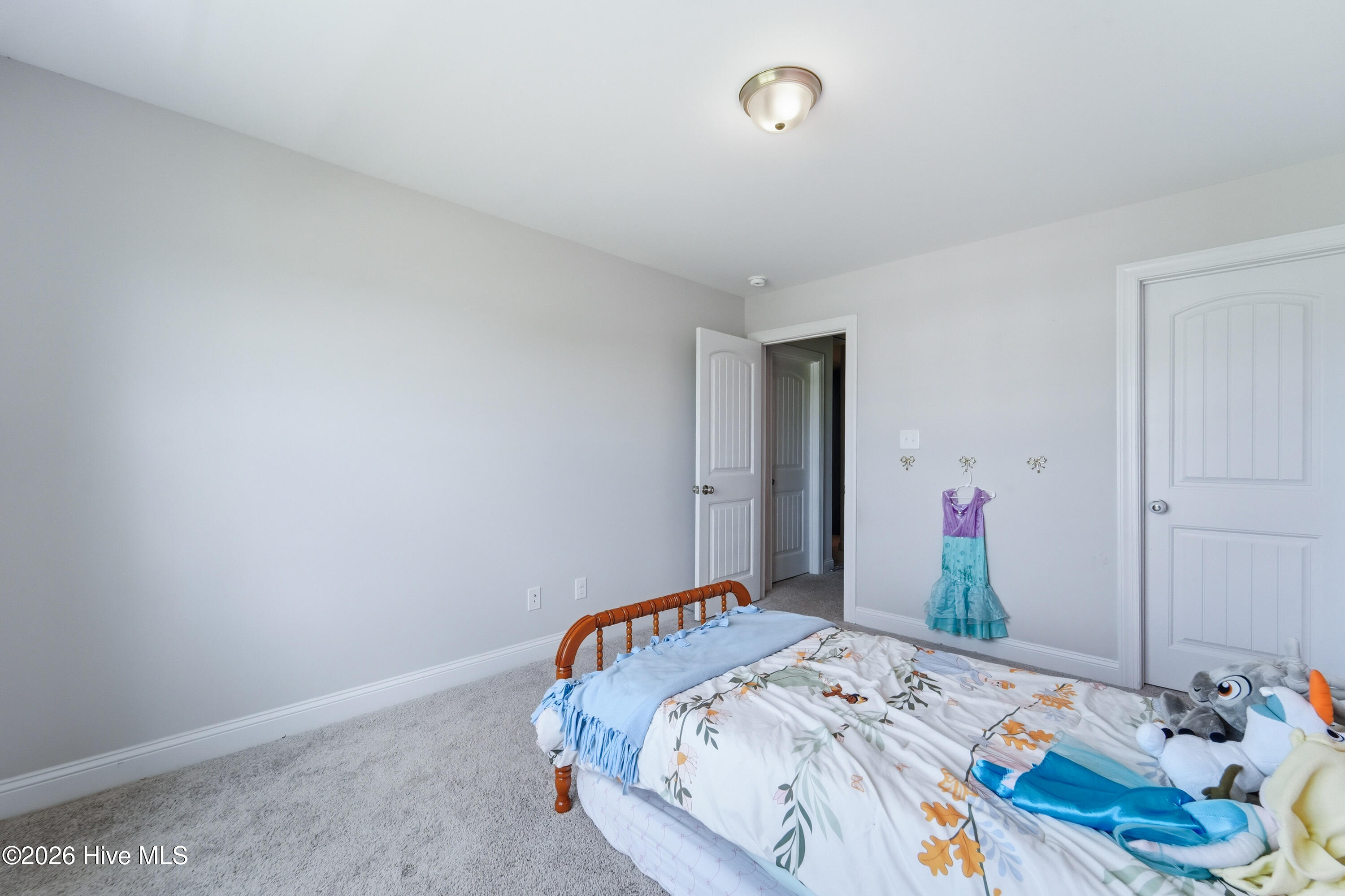 700 Puppy Drum Lane Property Photo 45