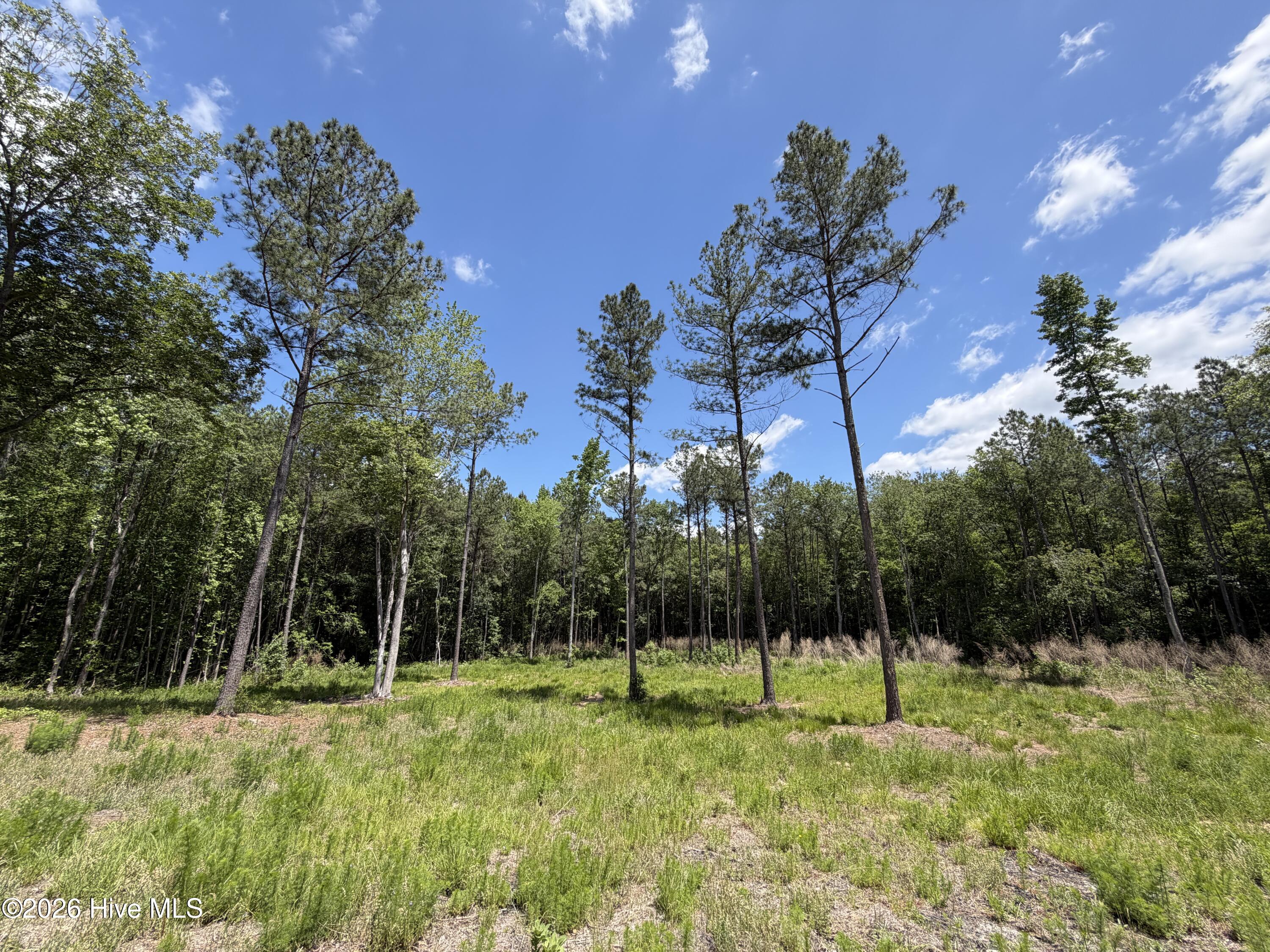 979 Aiken Road Property Photo 1