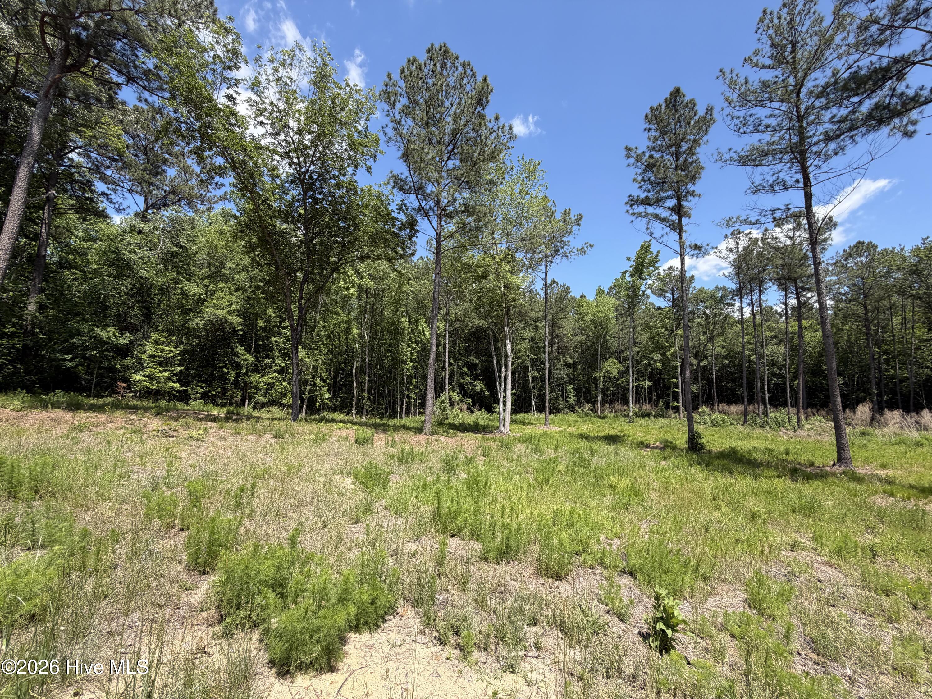 979 Aiken Road Property Photo 2