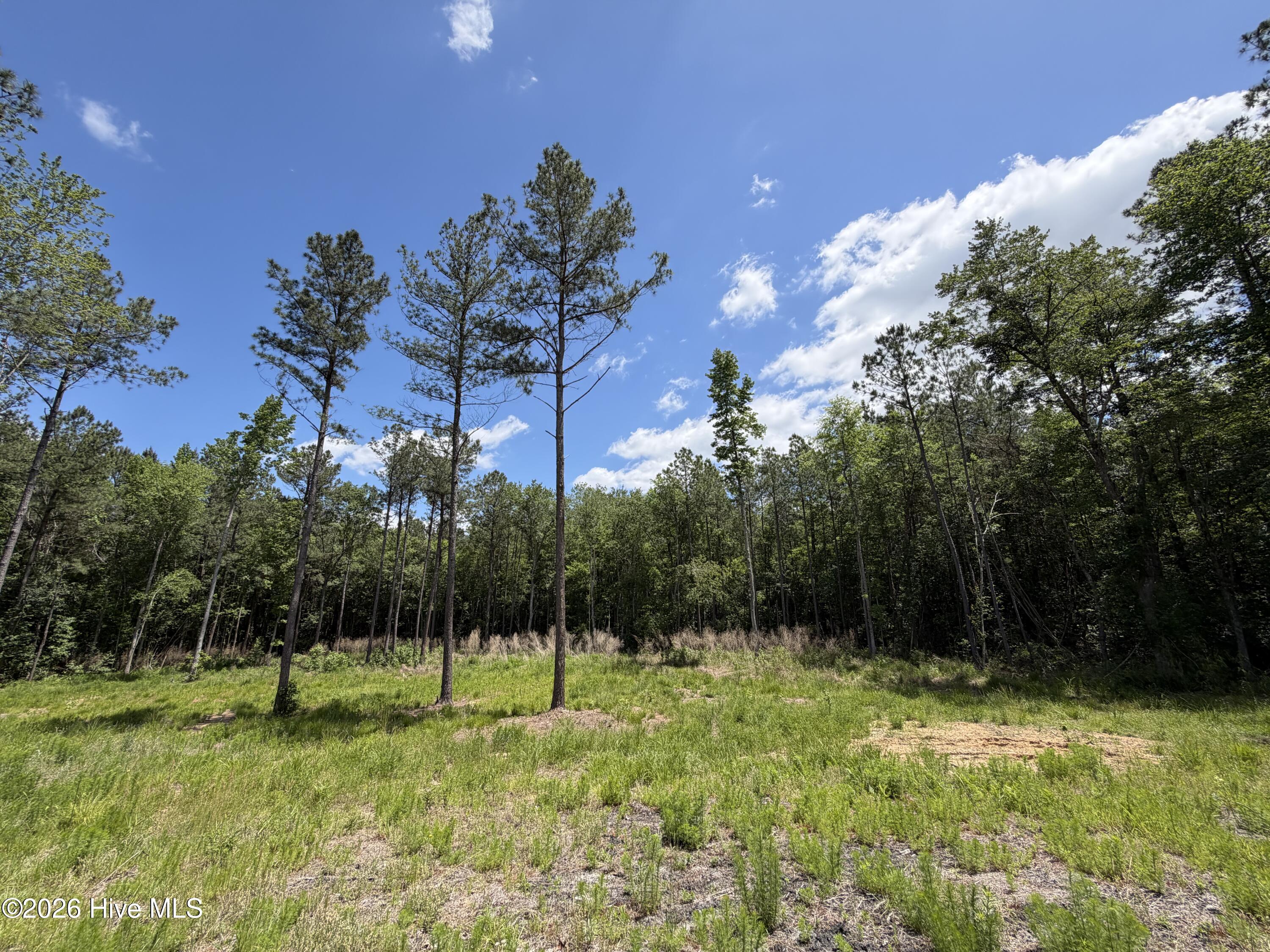 979 Aiken Road Property Photo 3