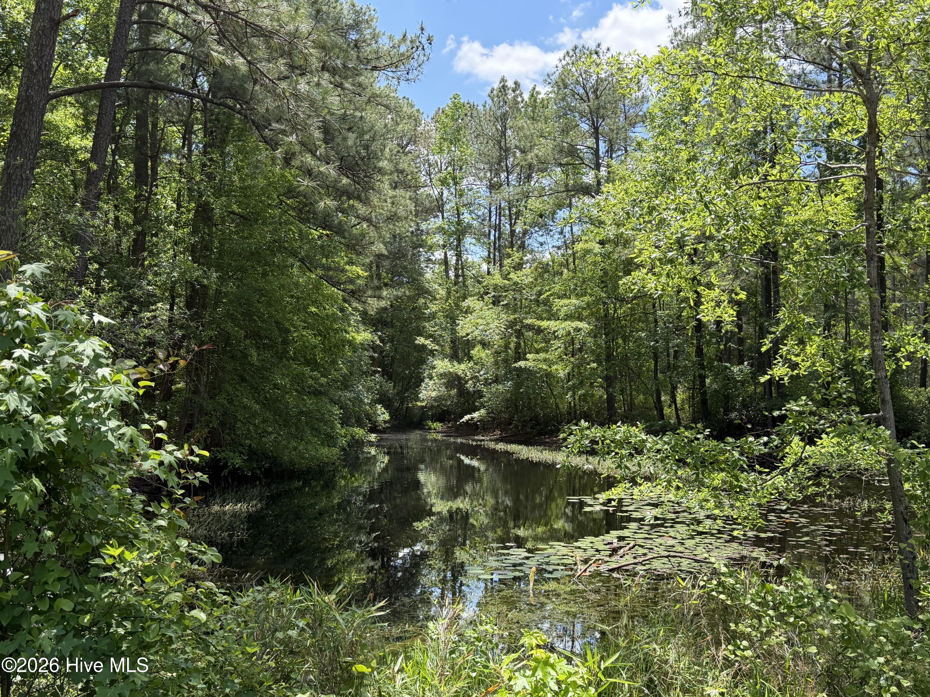 979 Aiken Road Property Photo 4