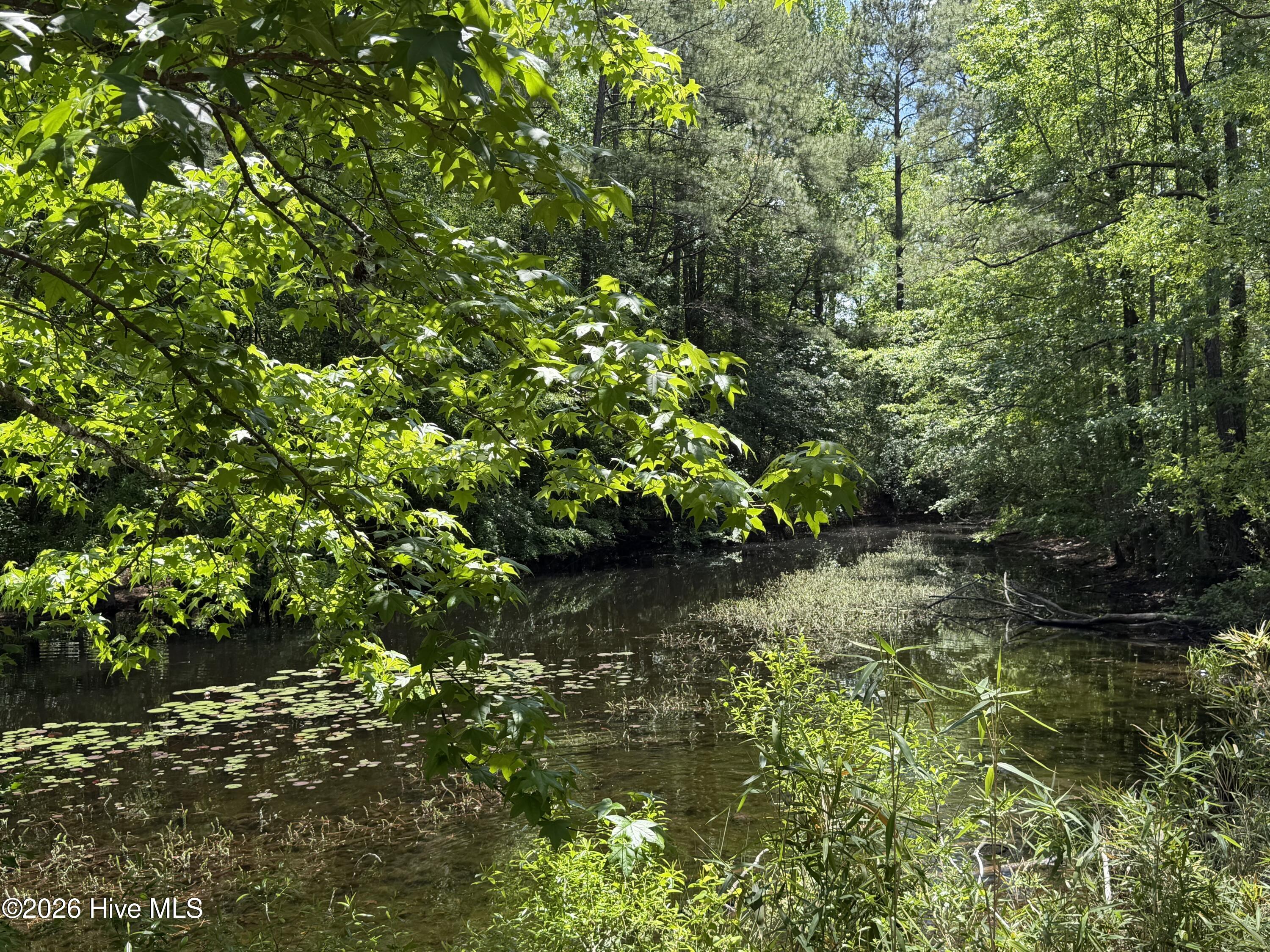 979 Aiken Road Property Photo 6