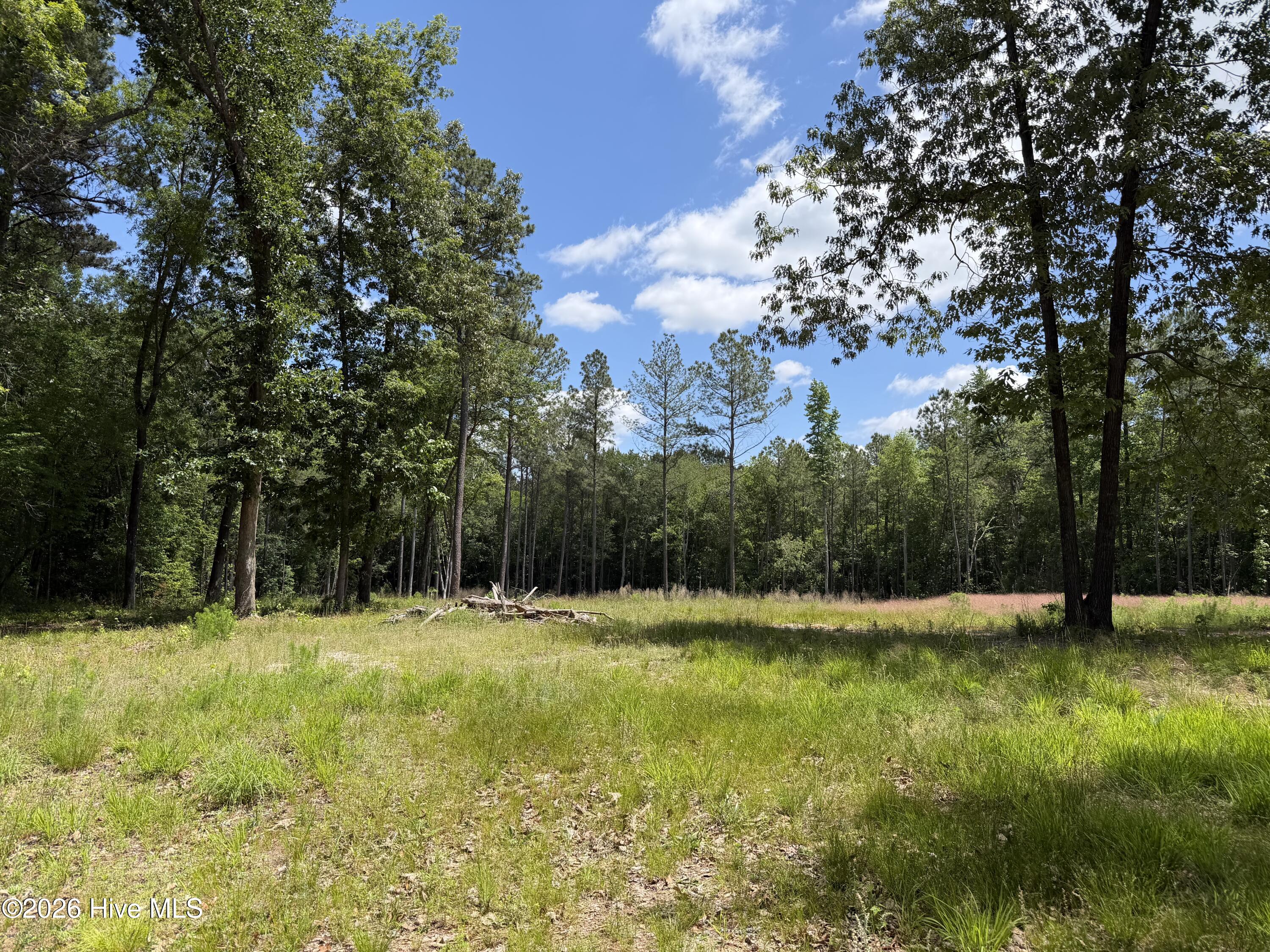 979 Aiken Road Property Photo 8