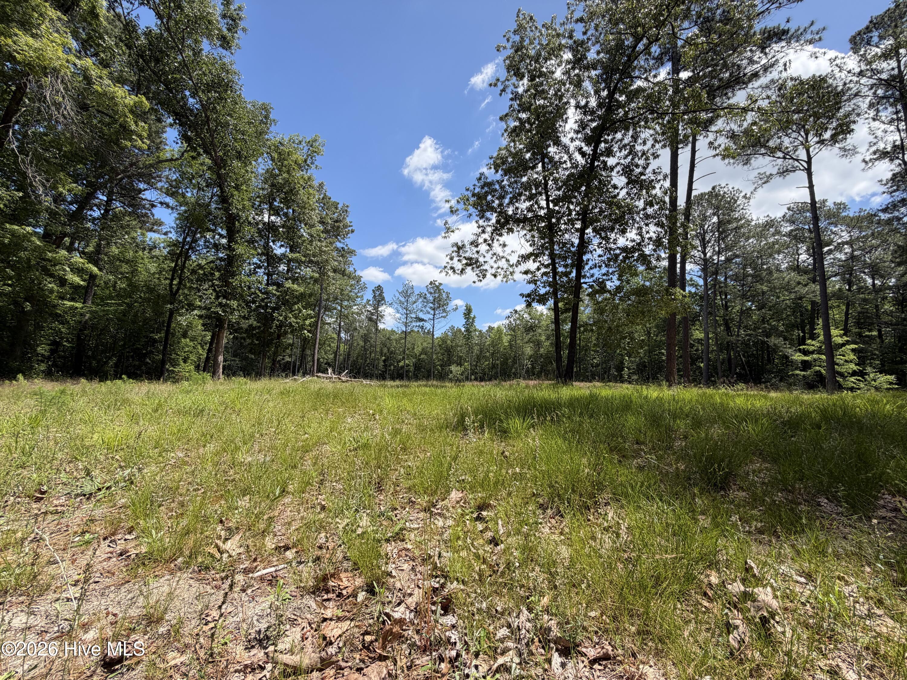 979 Aiken Road Property Photo 10