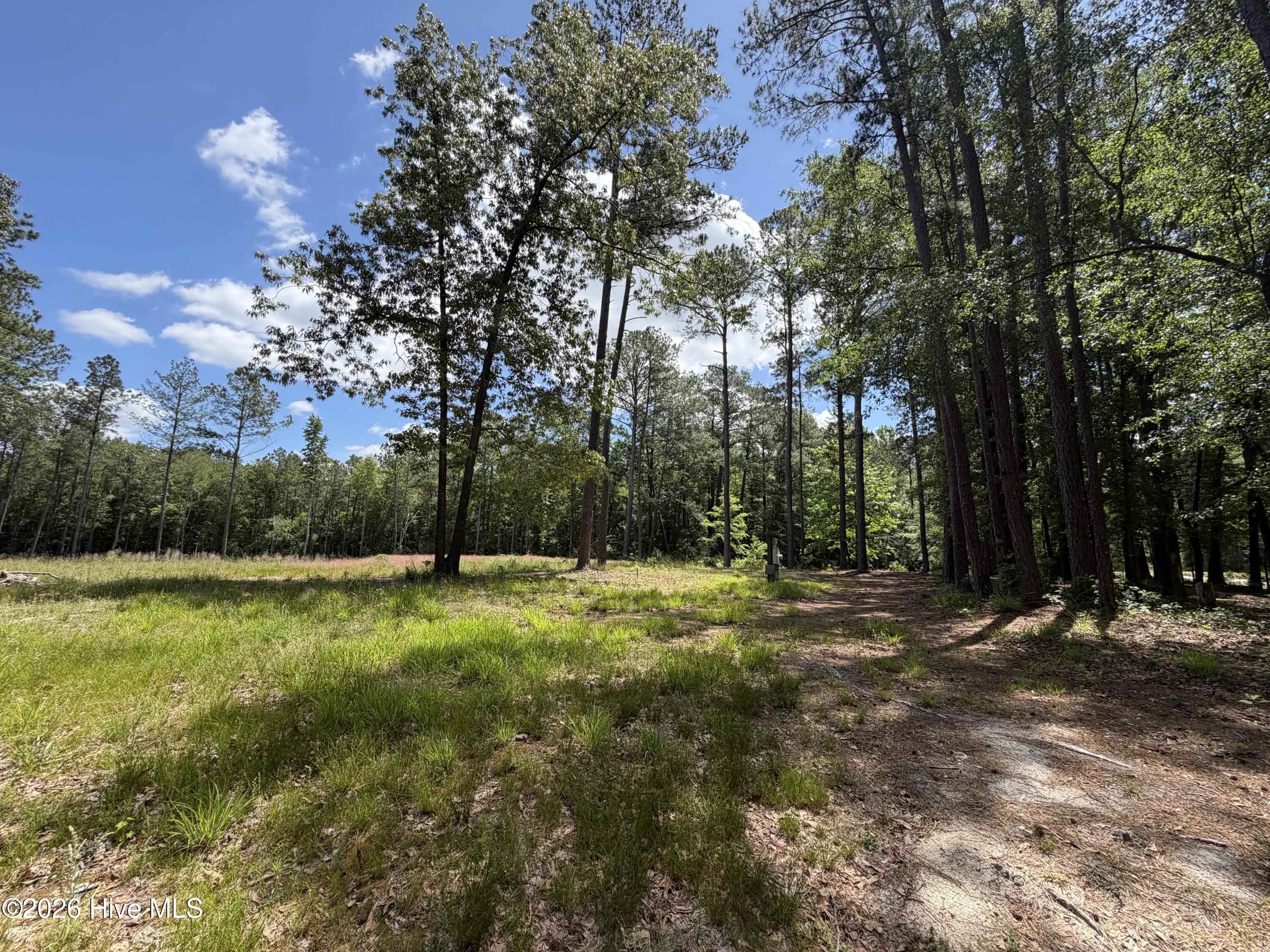 979 Aiken Road Property Photo 11