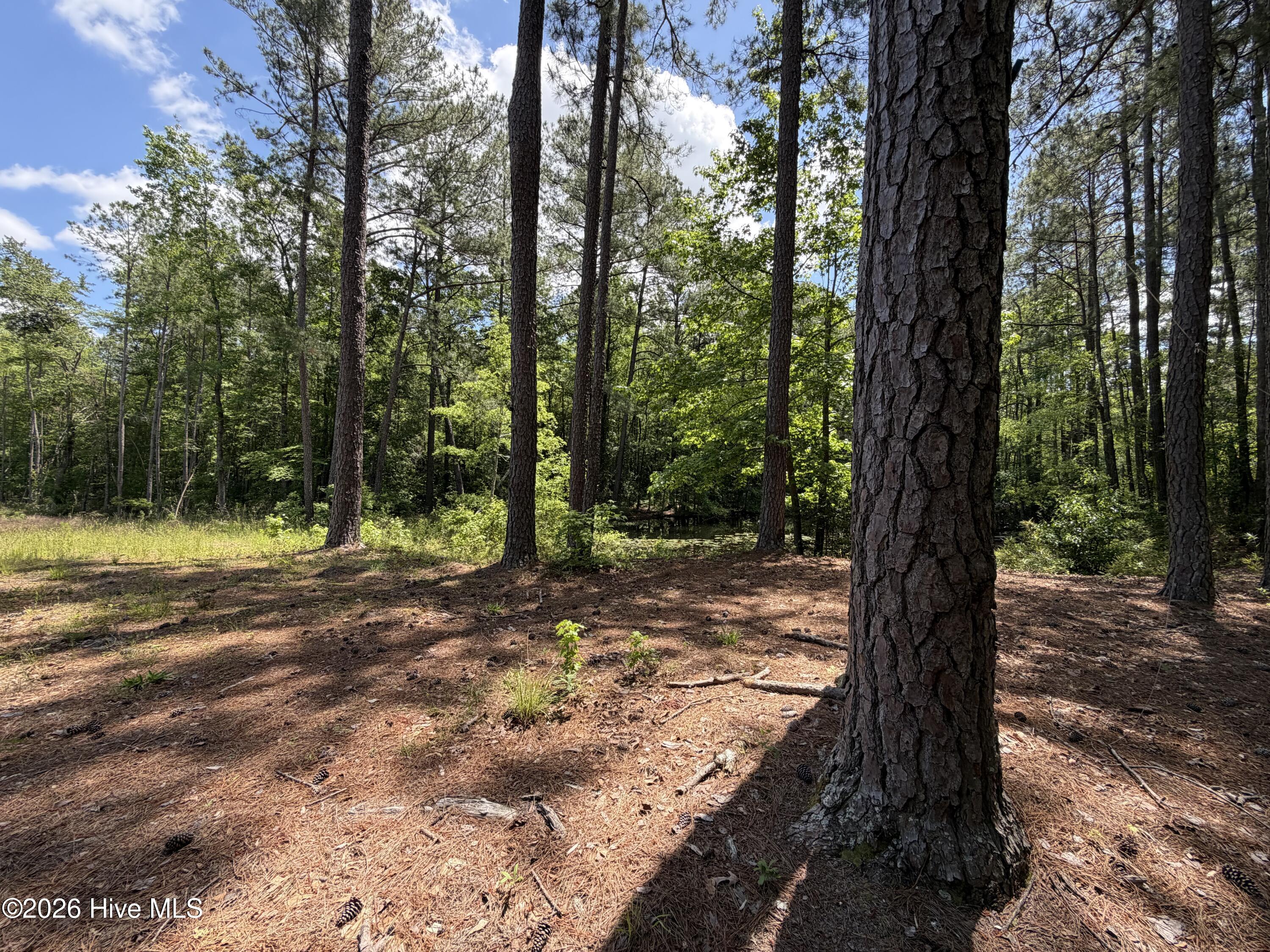 979 Aiken Road Property Photo 13