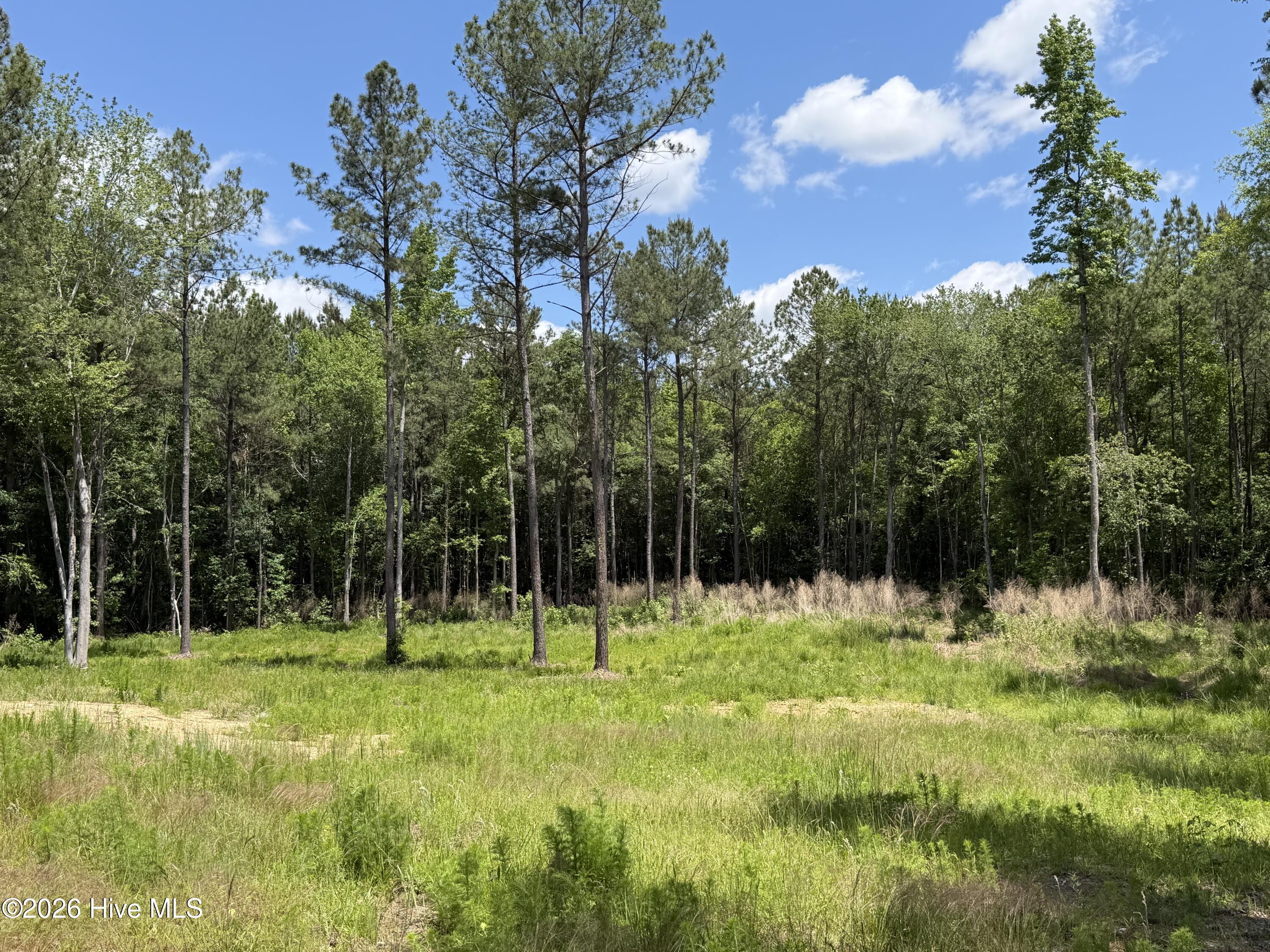 979 Aiken Road Property Photo 14