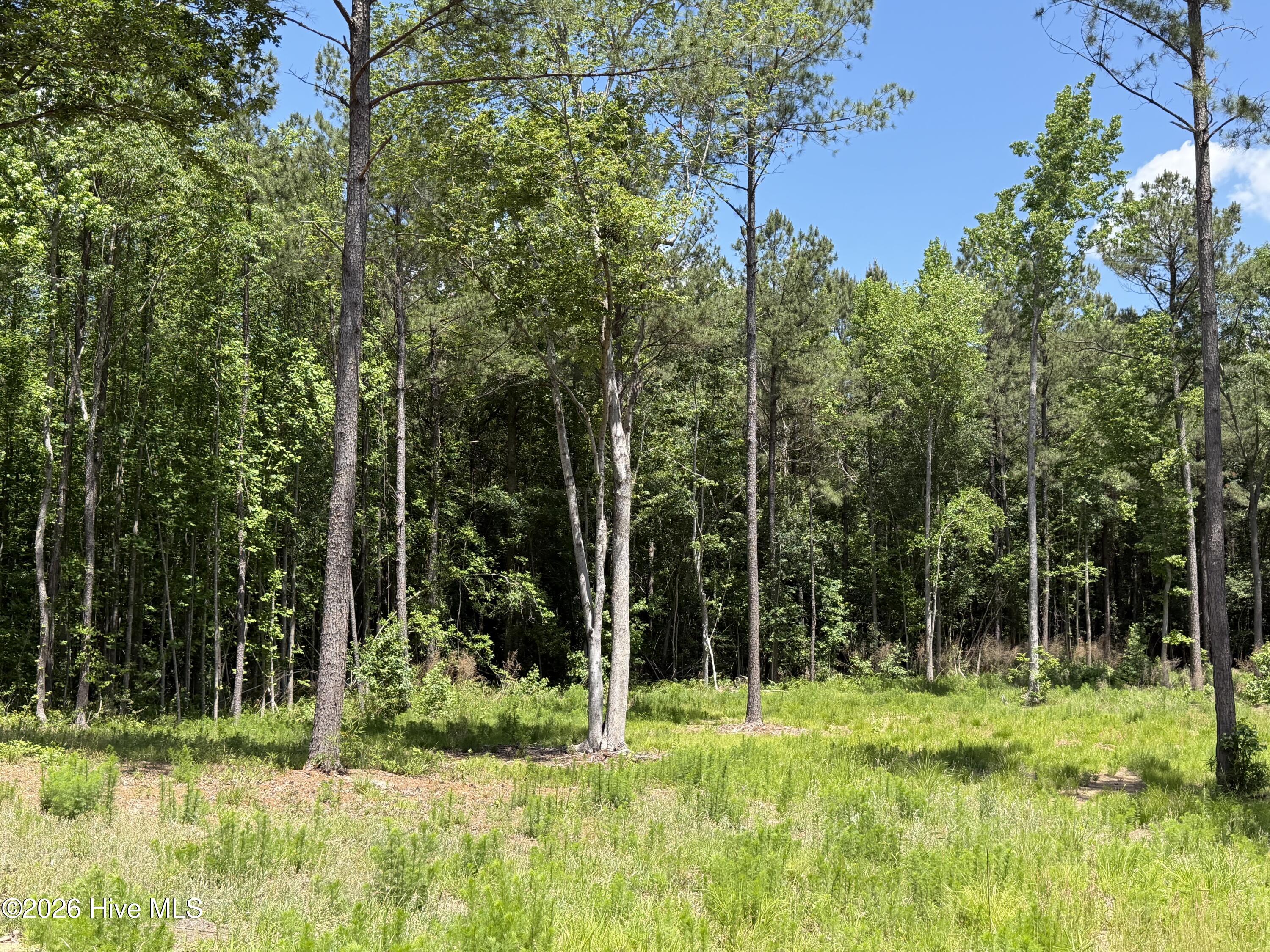 979 Aiken Road Property Photo 17