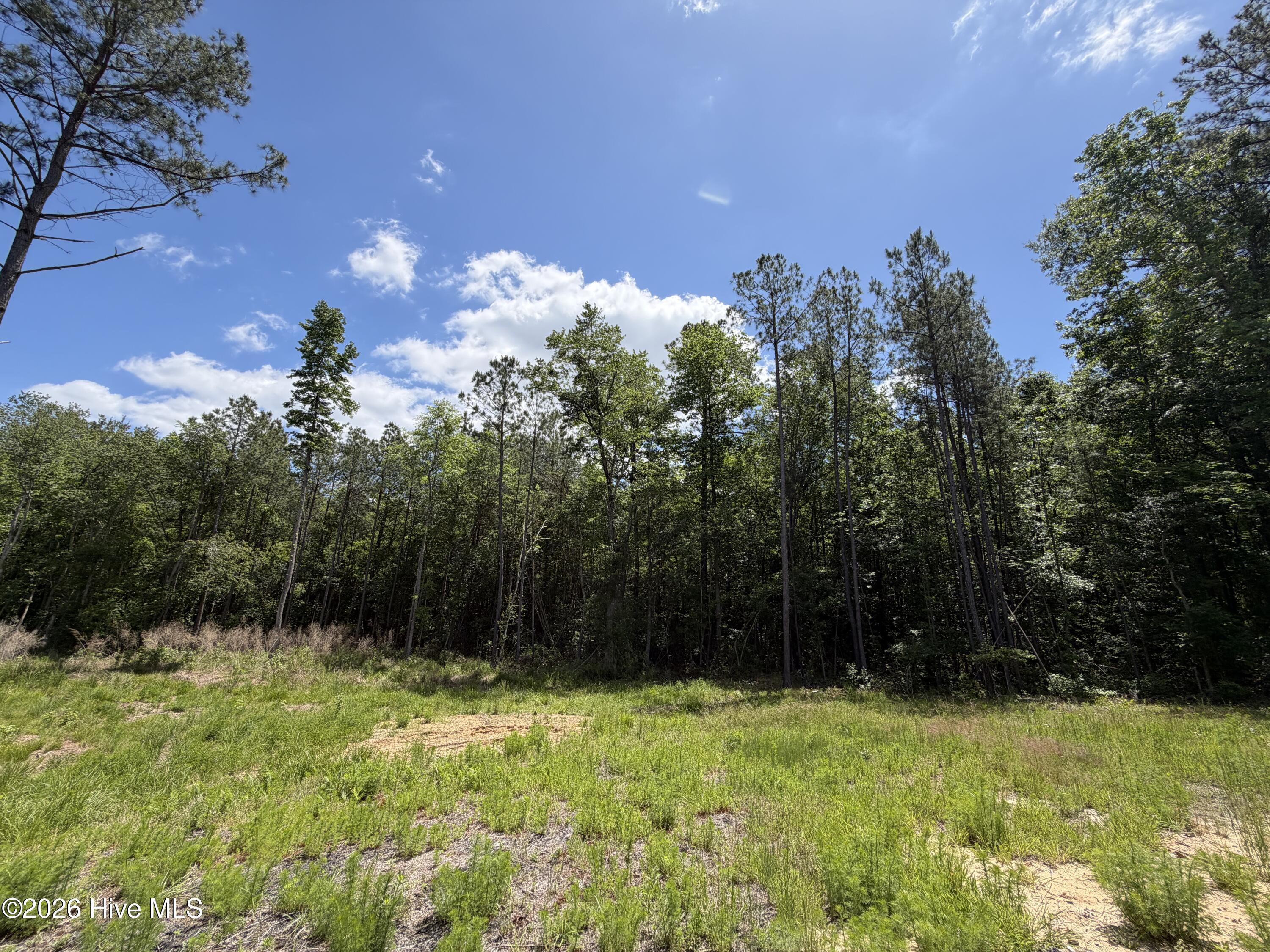 979 Aiken Road Property Photo 18