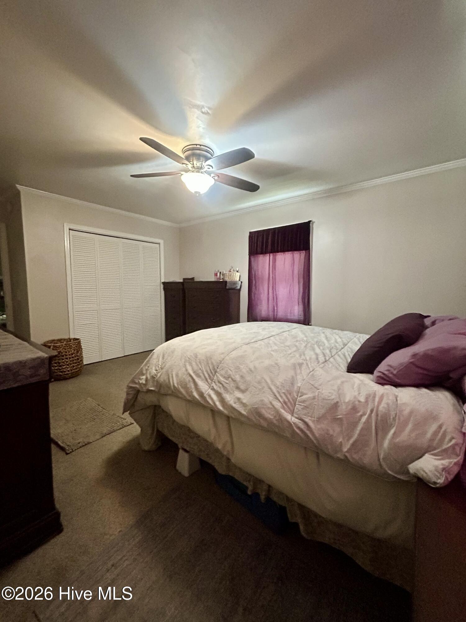 104 Chelsea Drive Property Photo 16