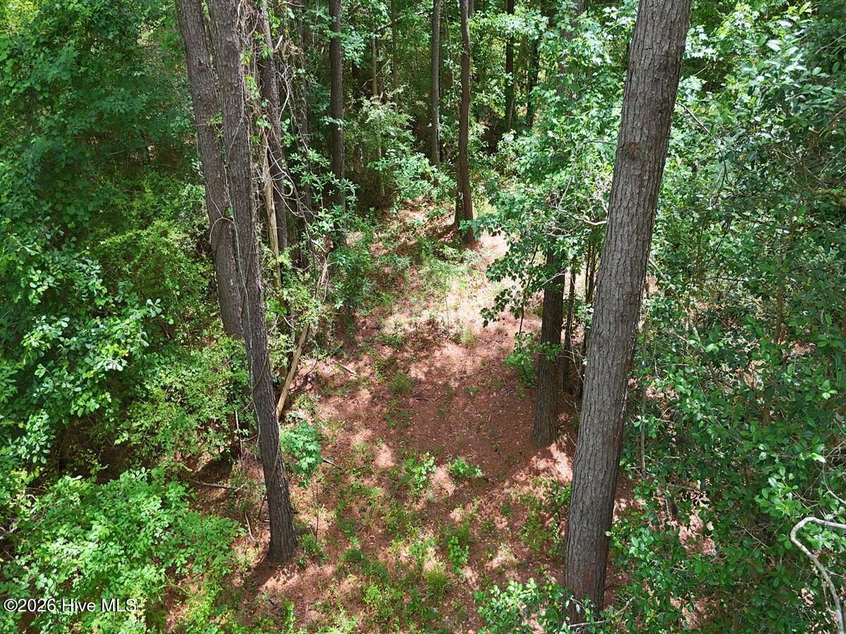 0 Ruby's Lane Property Photo 17