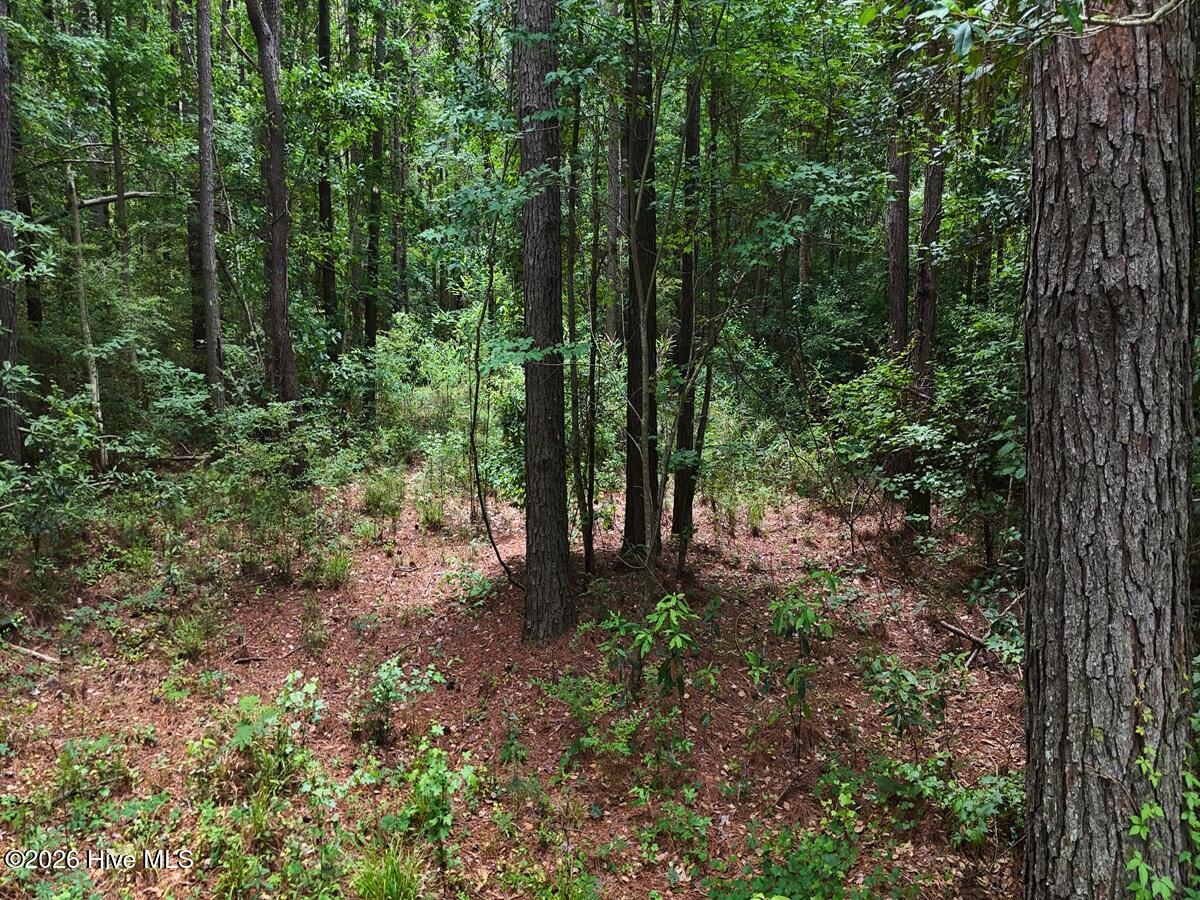 0 Ruby's Lane Property Photo 23