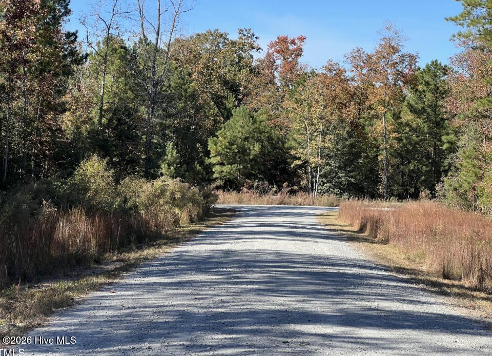 305 Willow Oak Court Property Photo 4