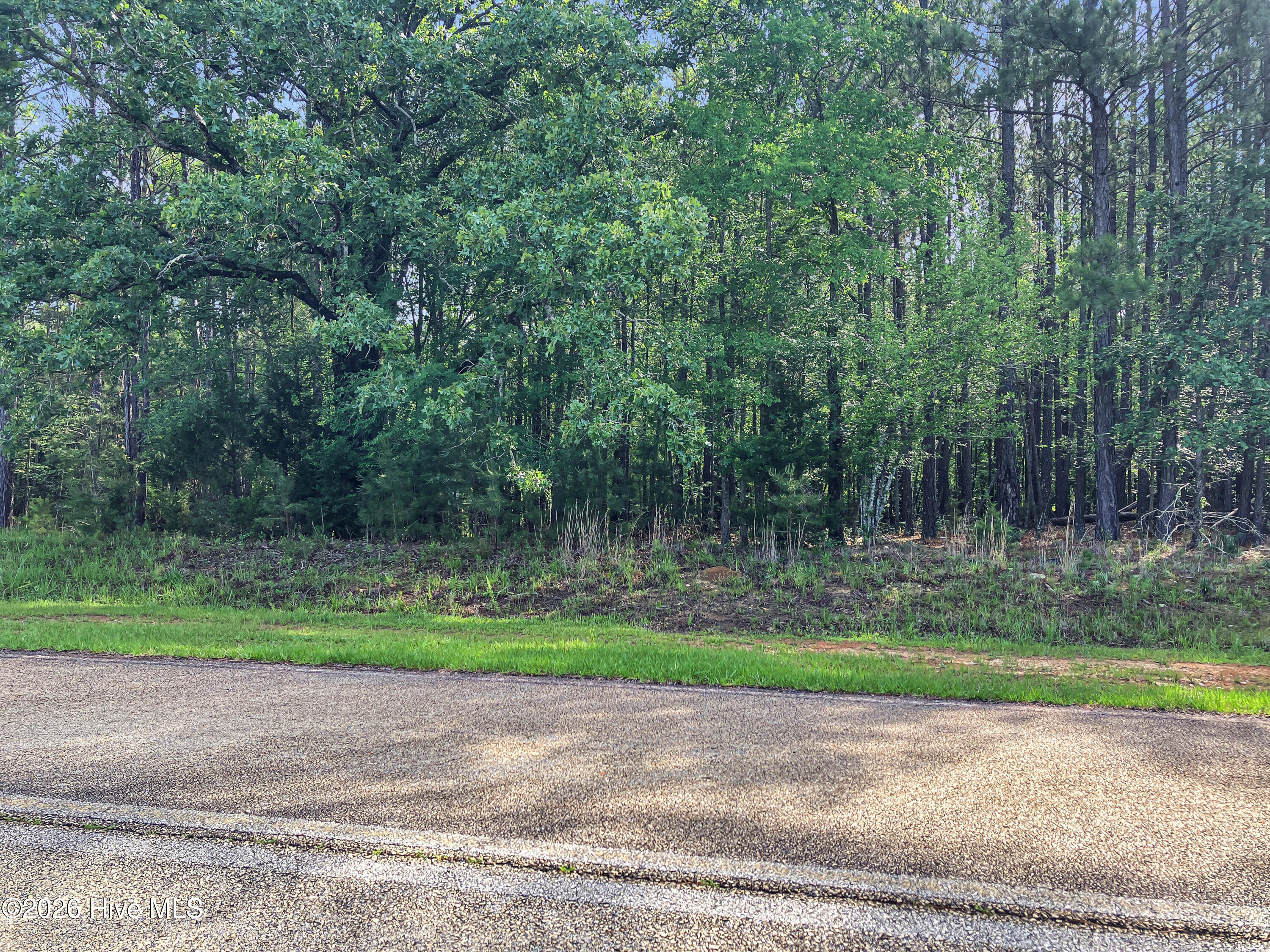 1048 Clinton-williams Road Property Photo 1