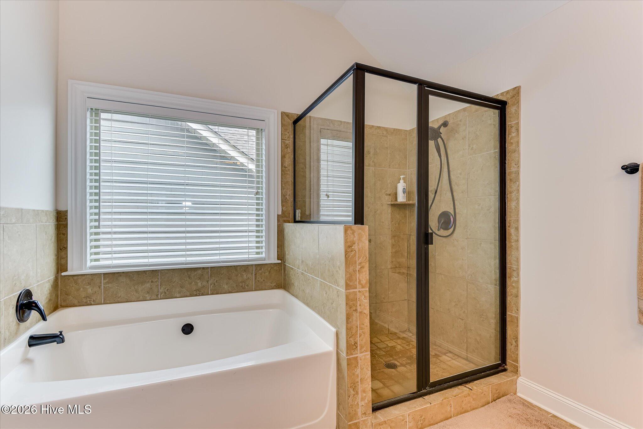 1014 Highgrass Court Property Photo 54