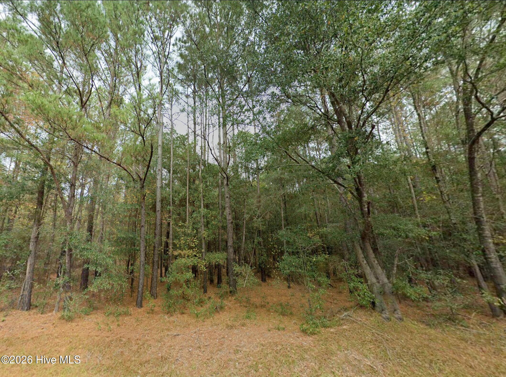 0 Shiloh Road Property Photo 5