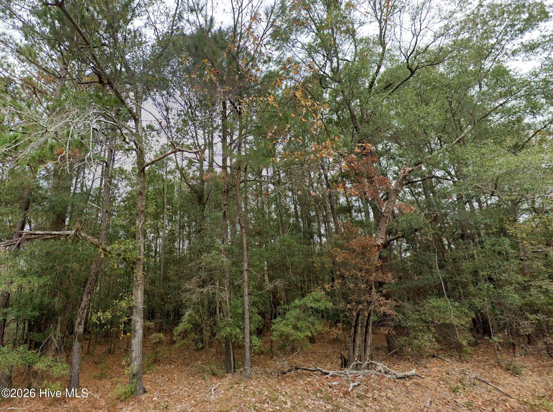 0 Shiloh Road Property Photo 6