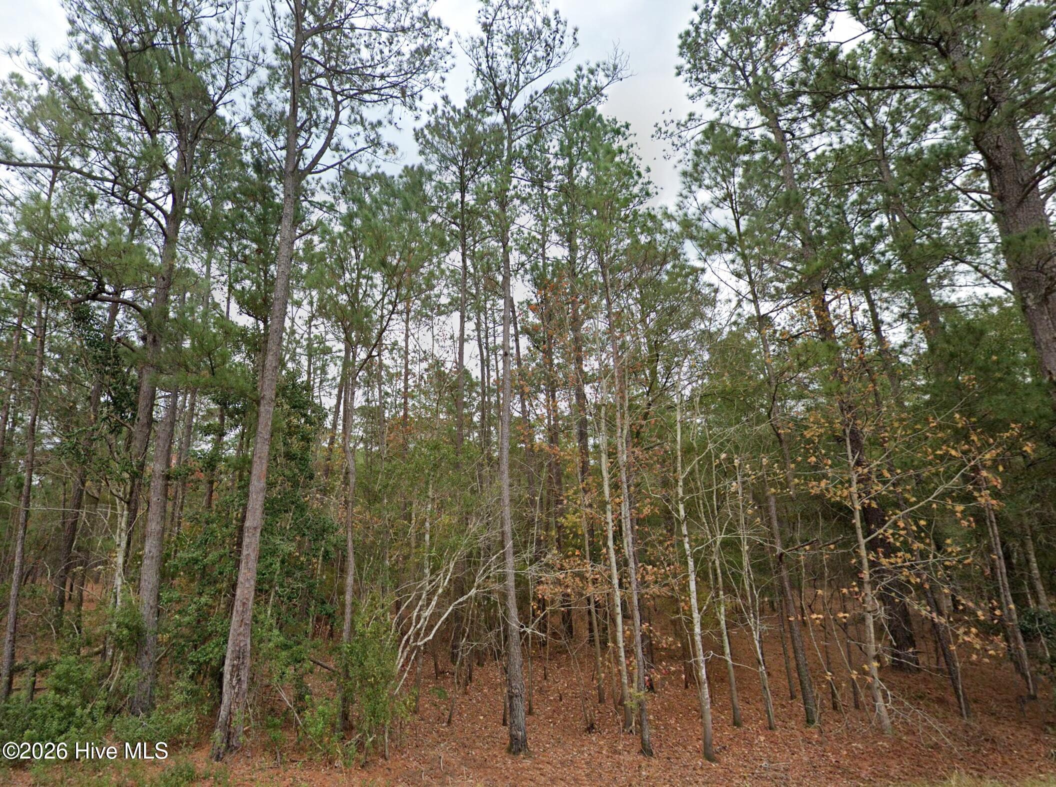 0 Shiloh Road Property Photo 7