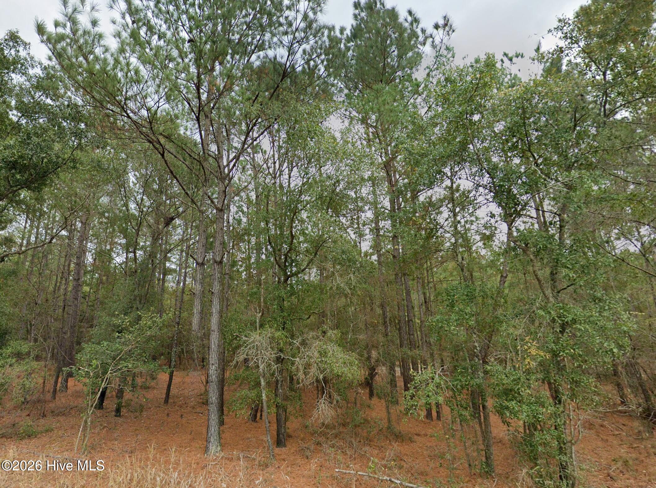 0 Shiloh Road Property Photo 8