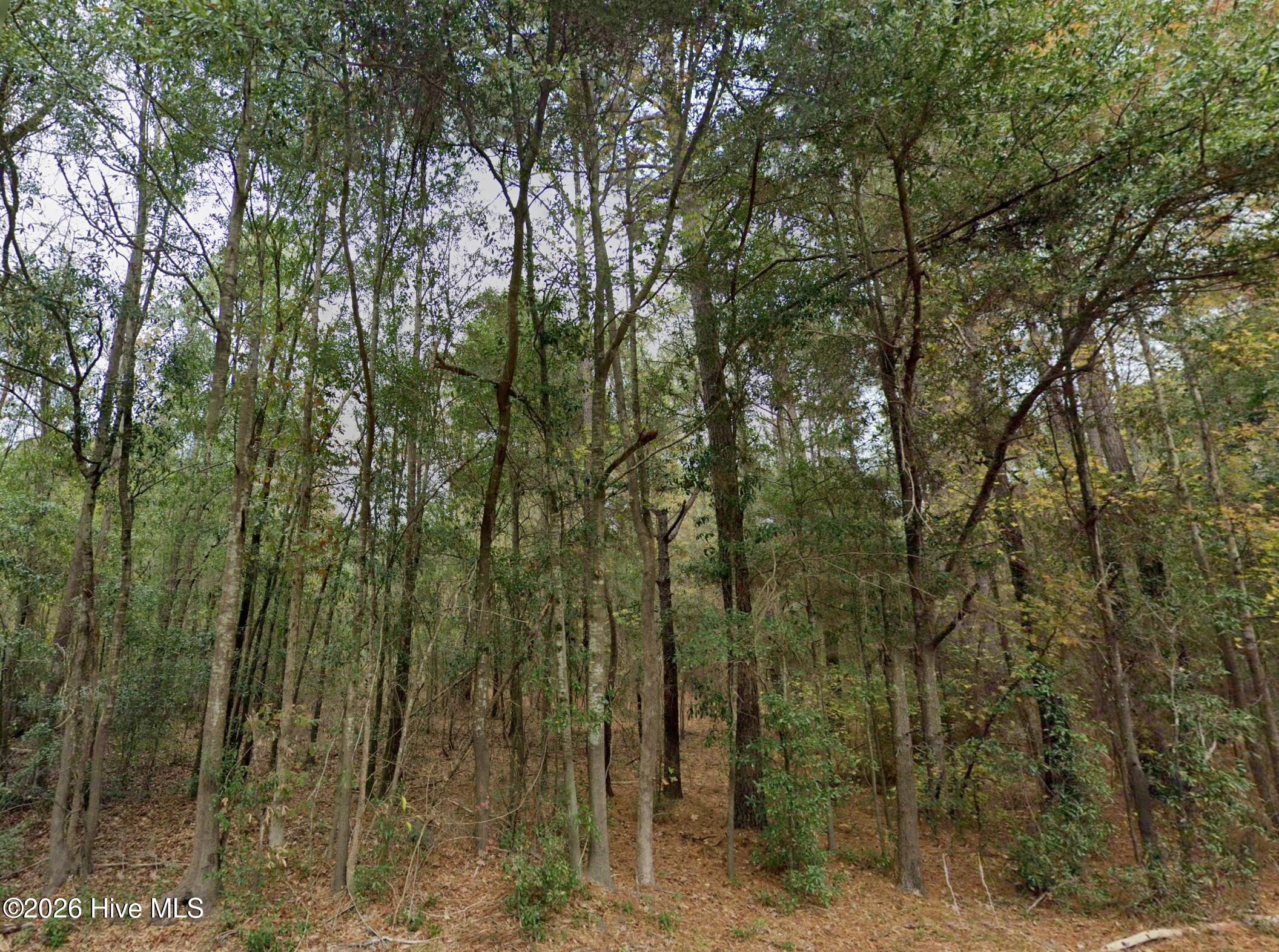 0 Shiloh Road Property Photo 9