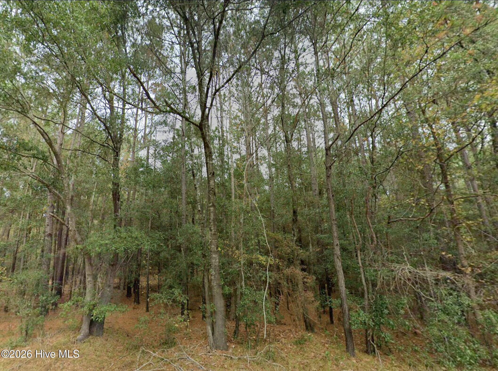 0 Shiloh Road Property Photo 10
