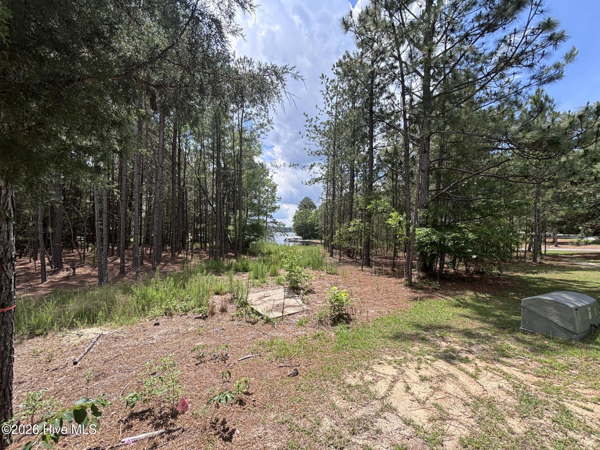 449 Longleaf Drive Property Photo 4