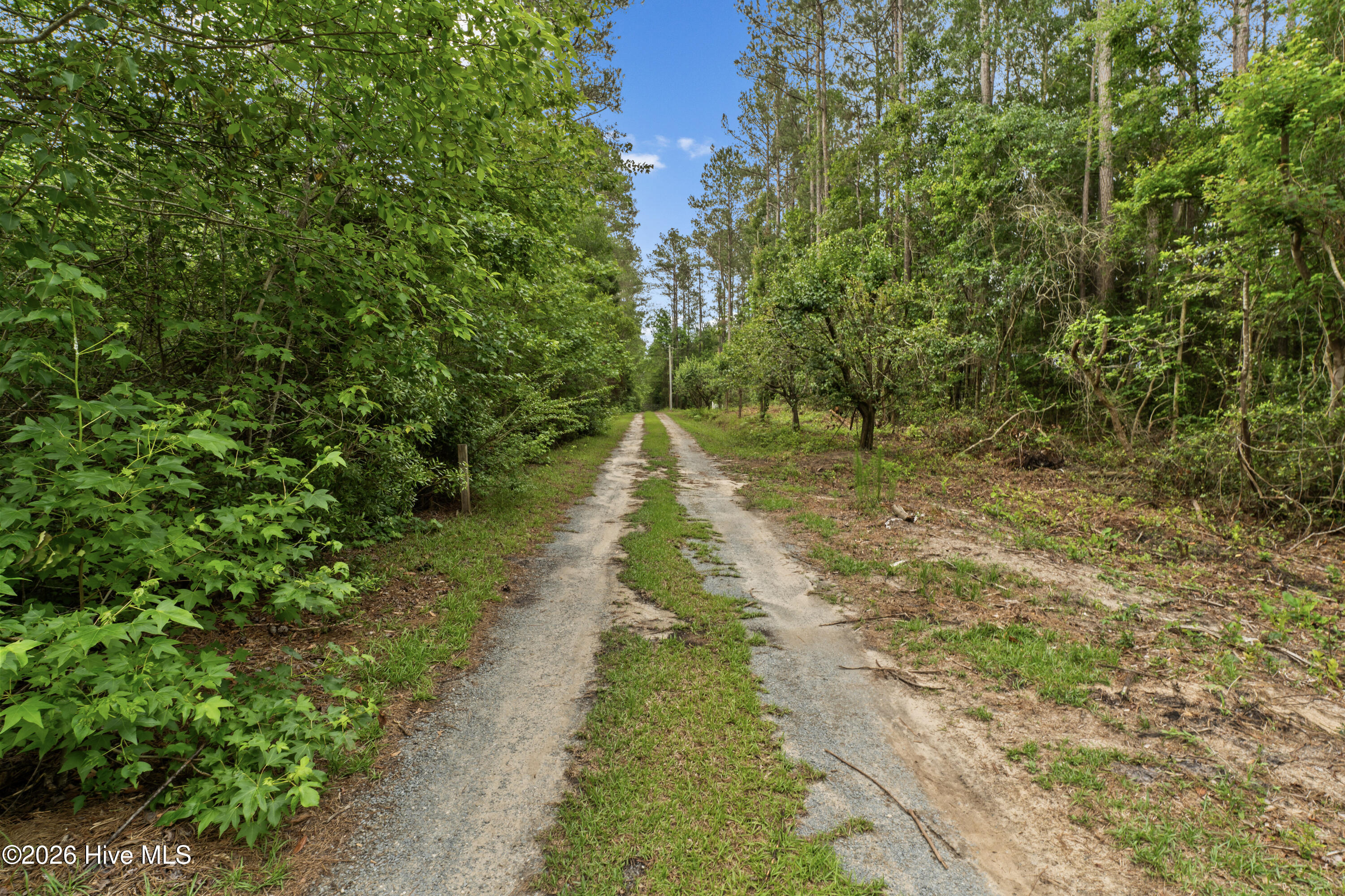 7358 Ivanhoe Road Property Photo 36