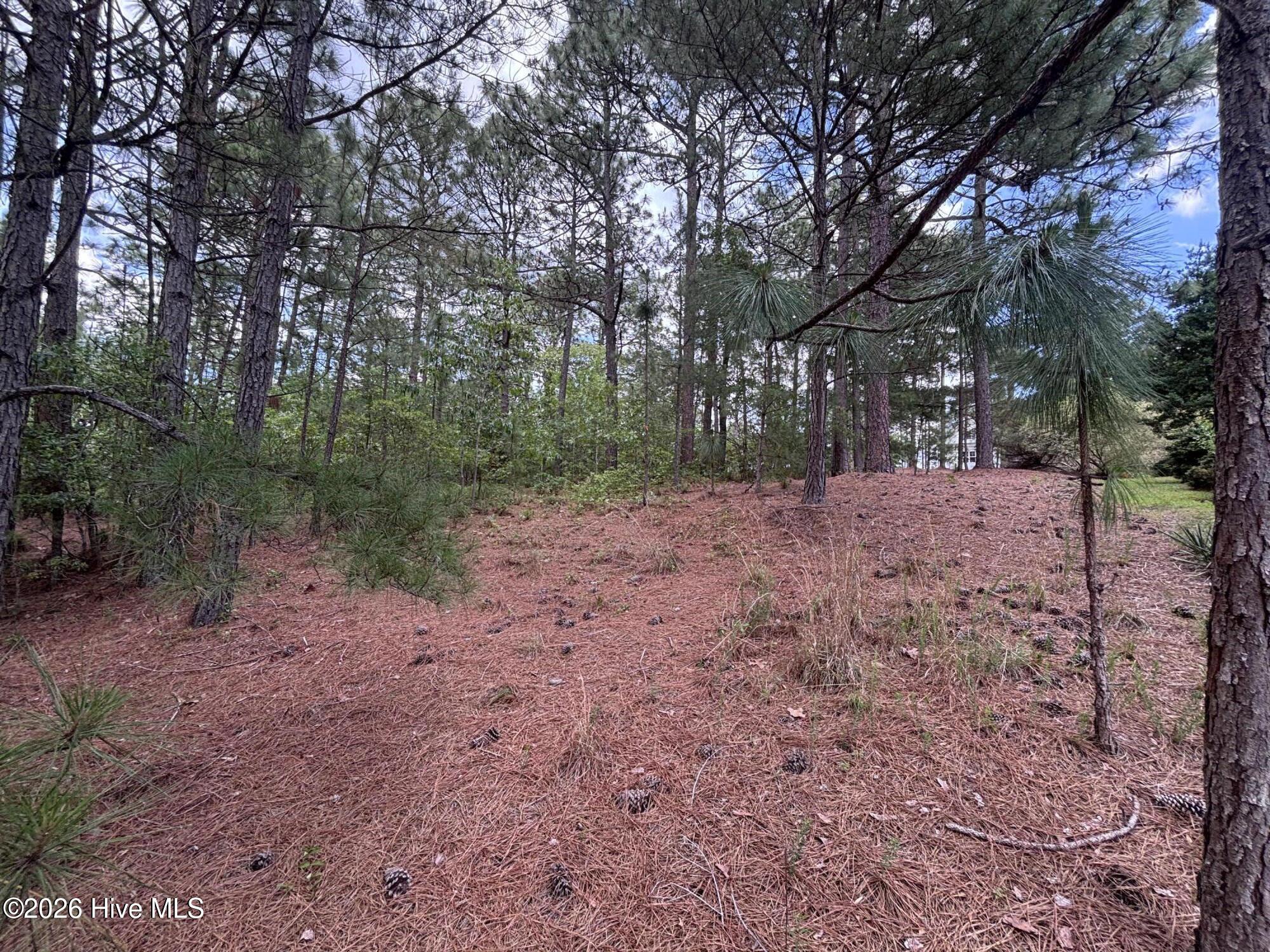 111 Callis Circle Property Photo 13