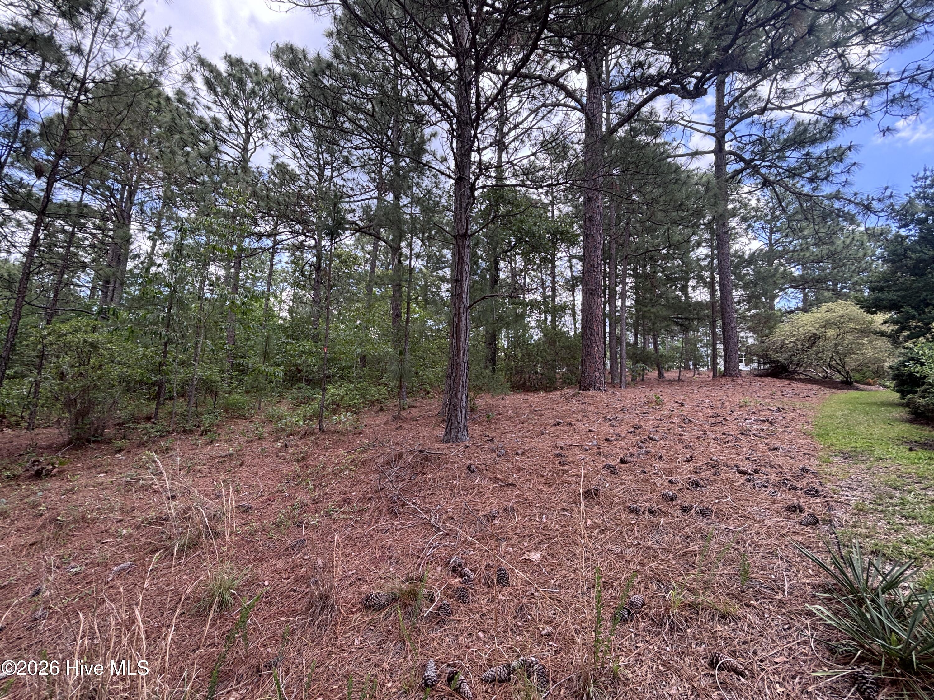 111 Callis Circle Property Photo 17