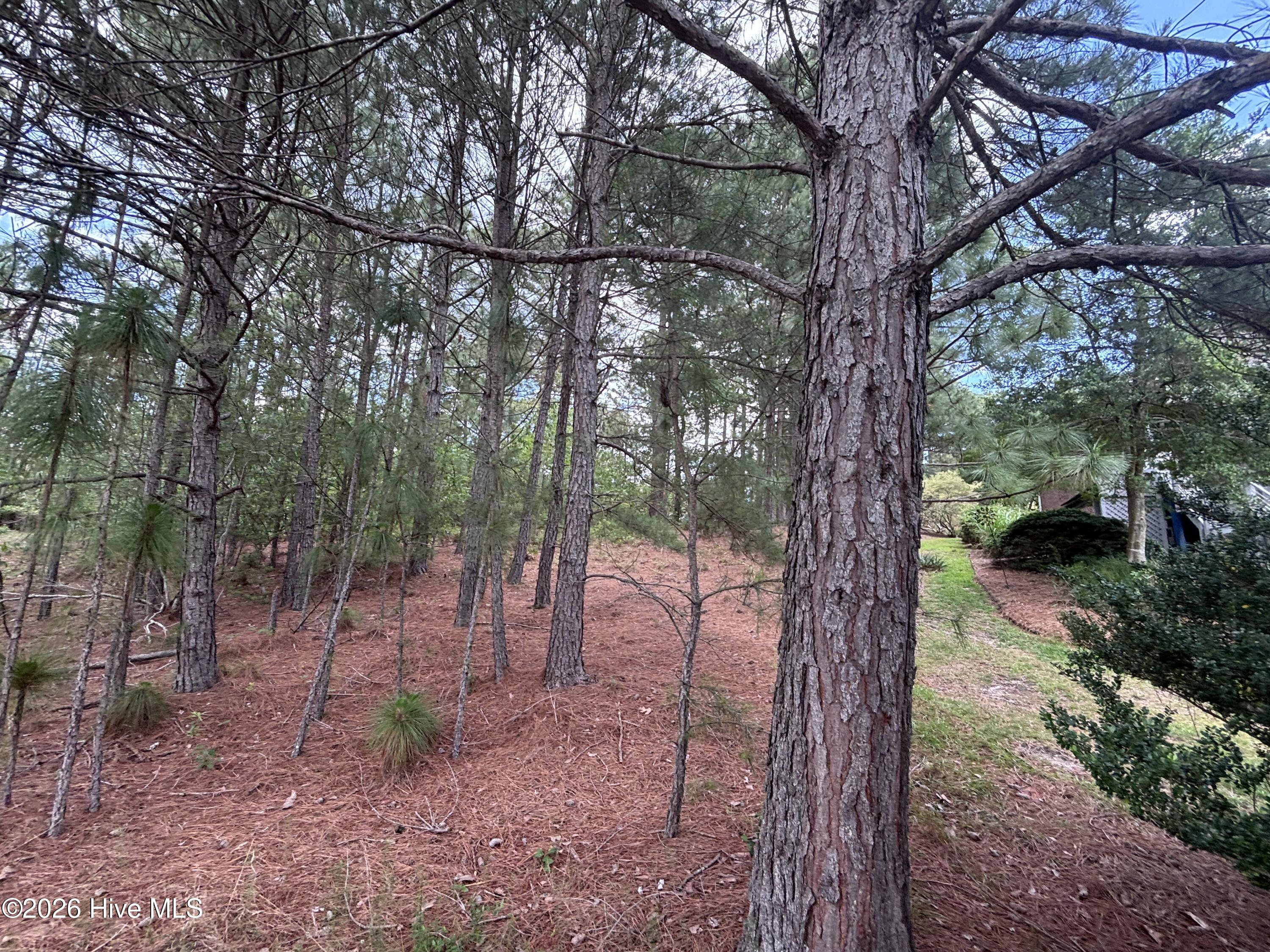 111 Callis Circle Property Photo 18