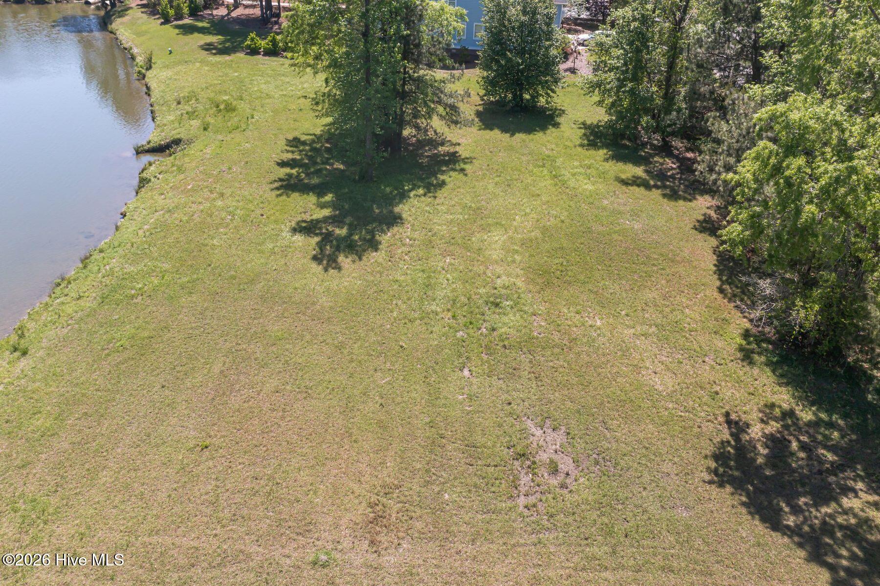 259 Sycamore Forest Drive Property Photo 6