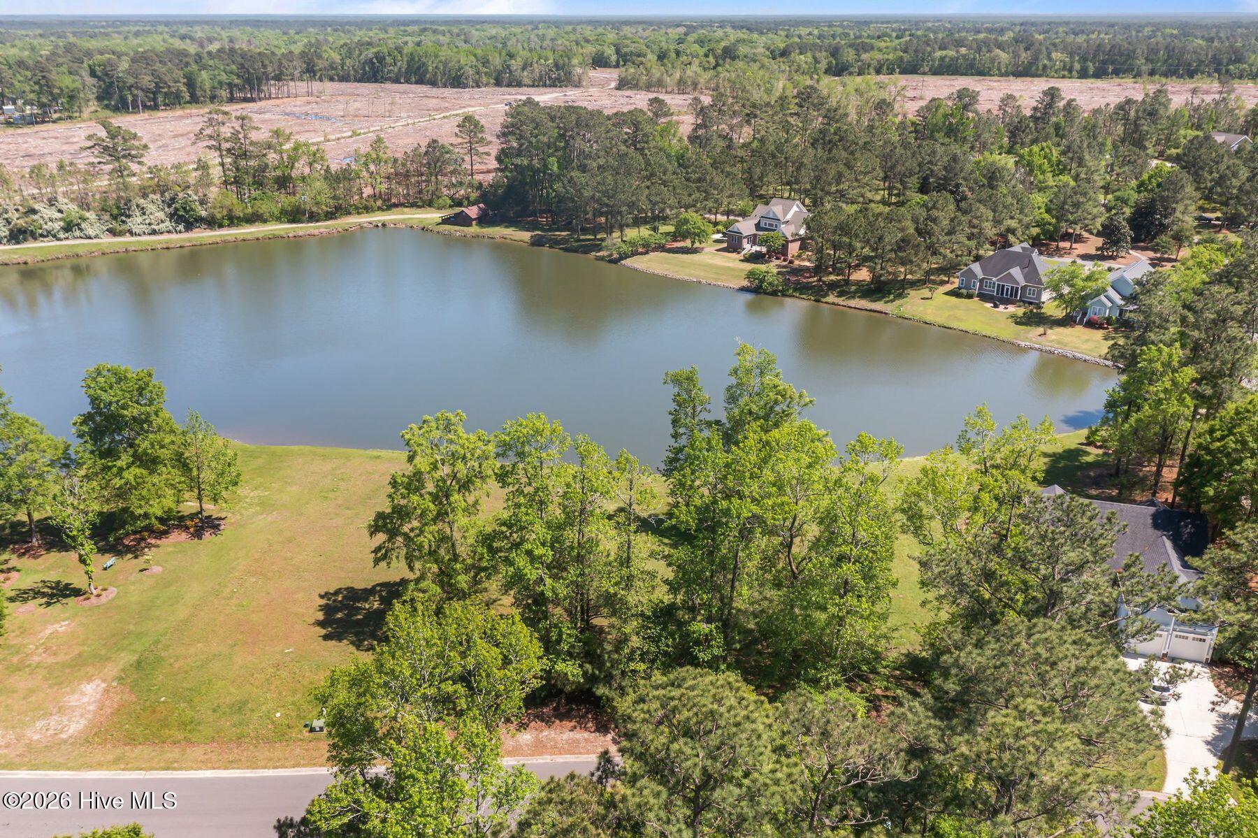 259 Sycamore Forest Drive Property Photo 9