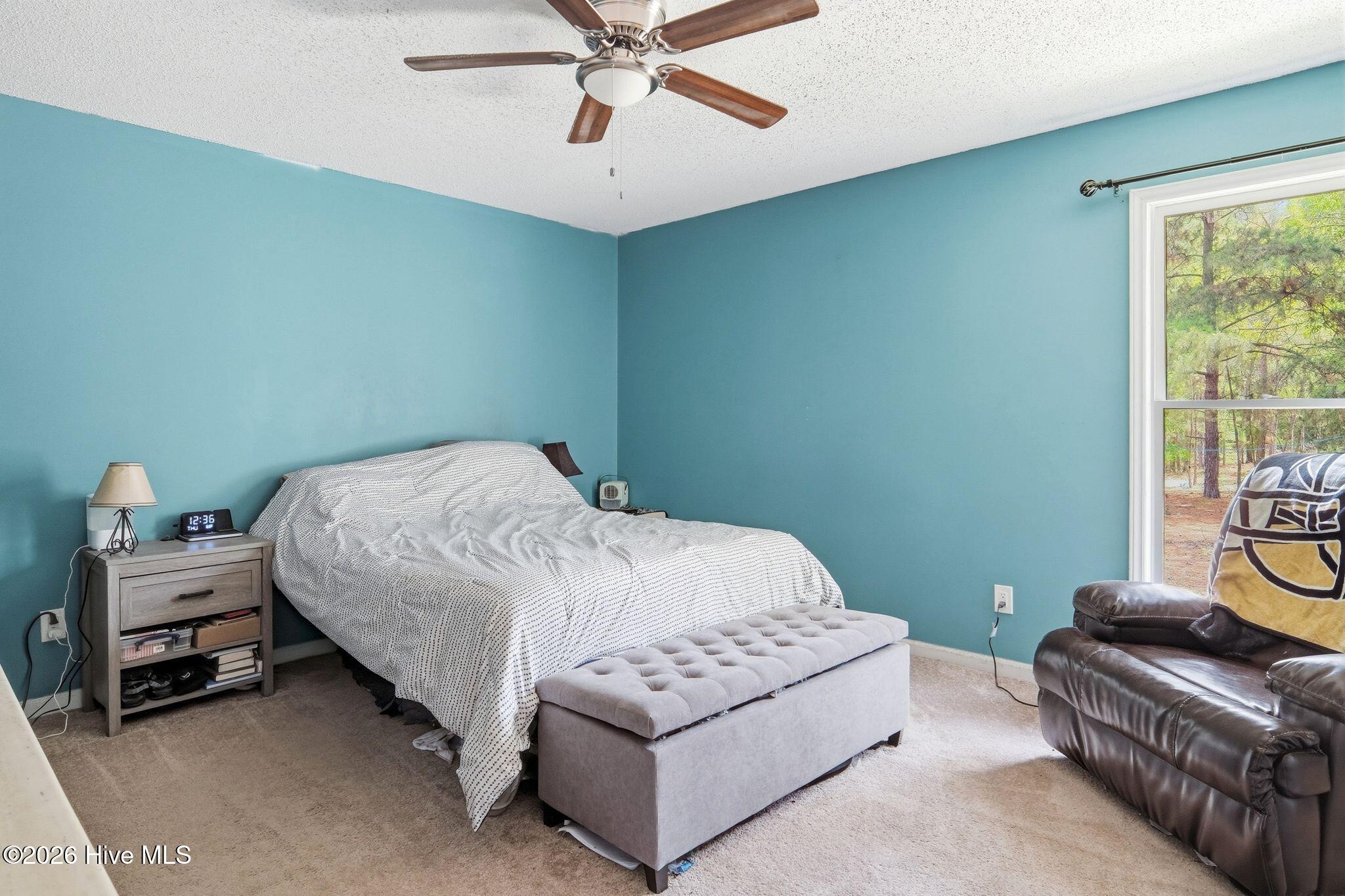 102 Pinesage Drive Property Photo 11